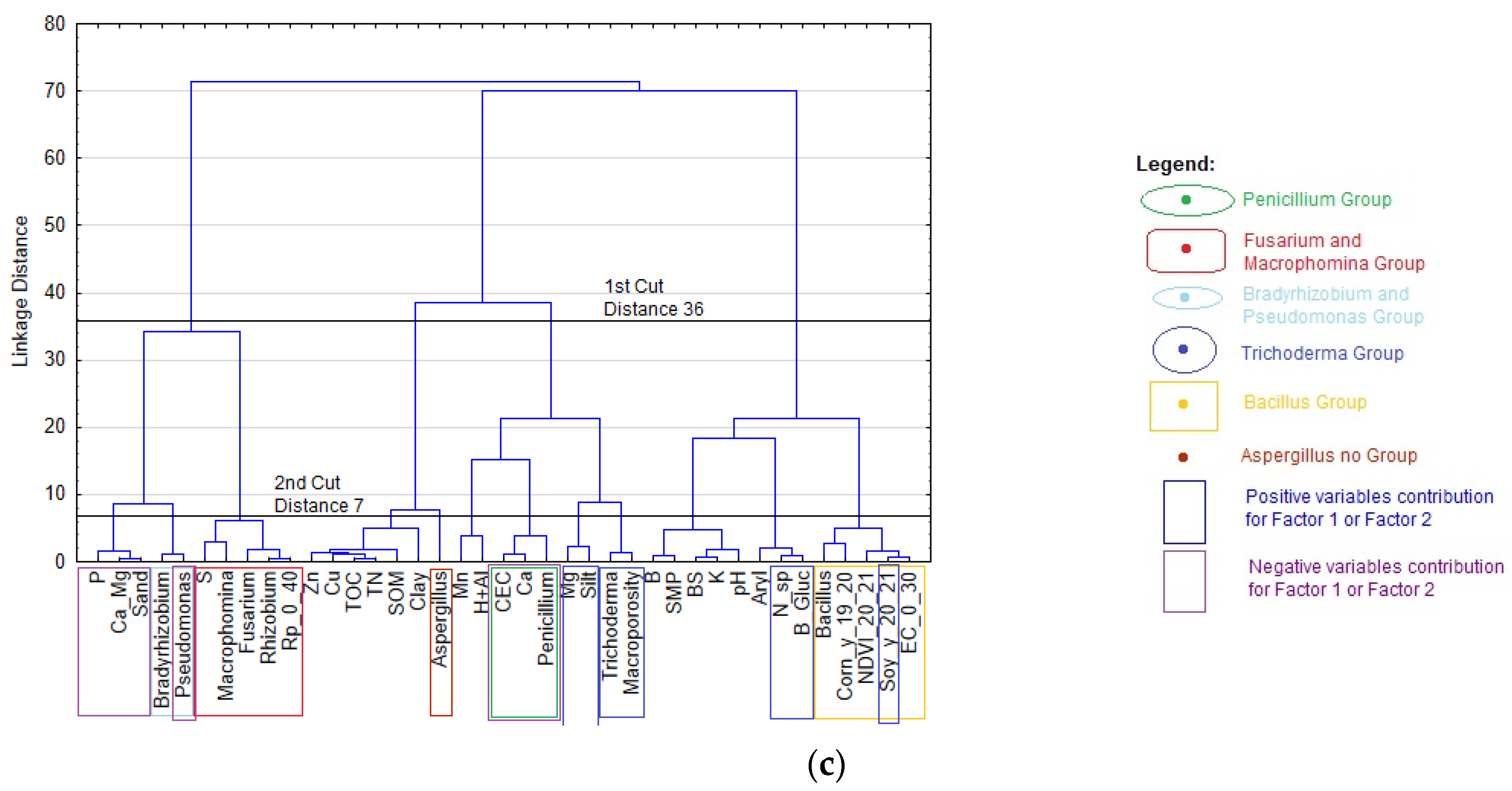 Agronomy 11 02410 g009b Agronomy 11 02410 g009b