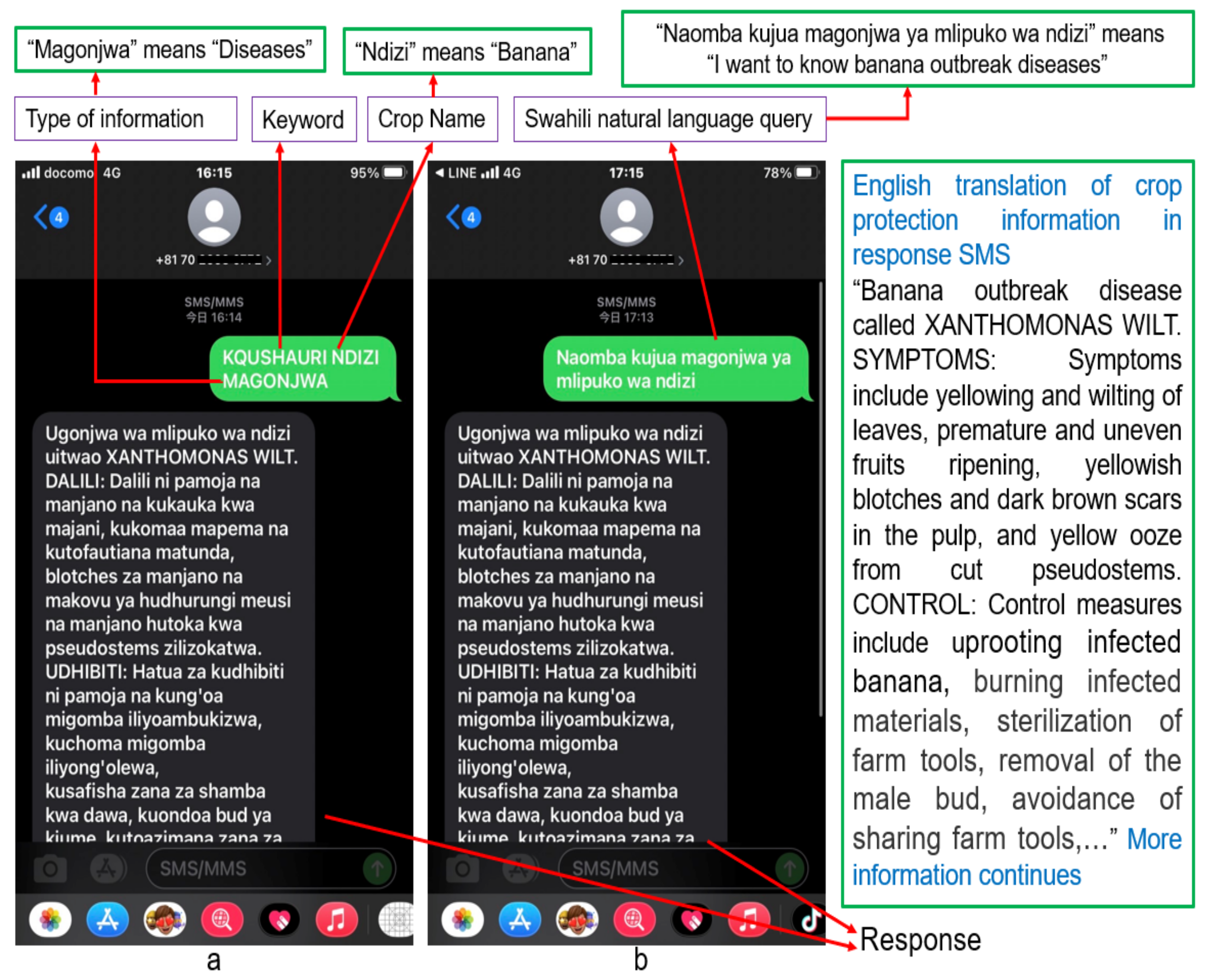 Agronomy 11 02411 g006