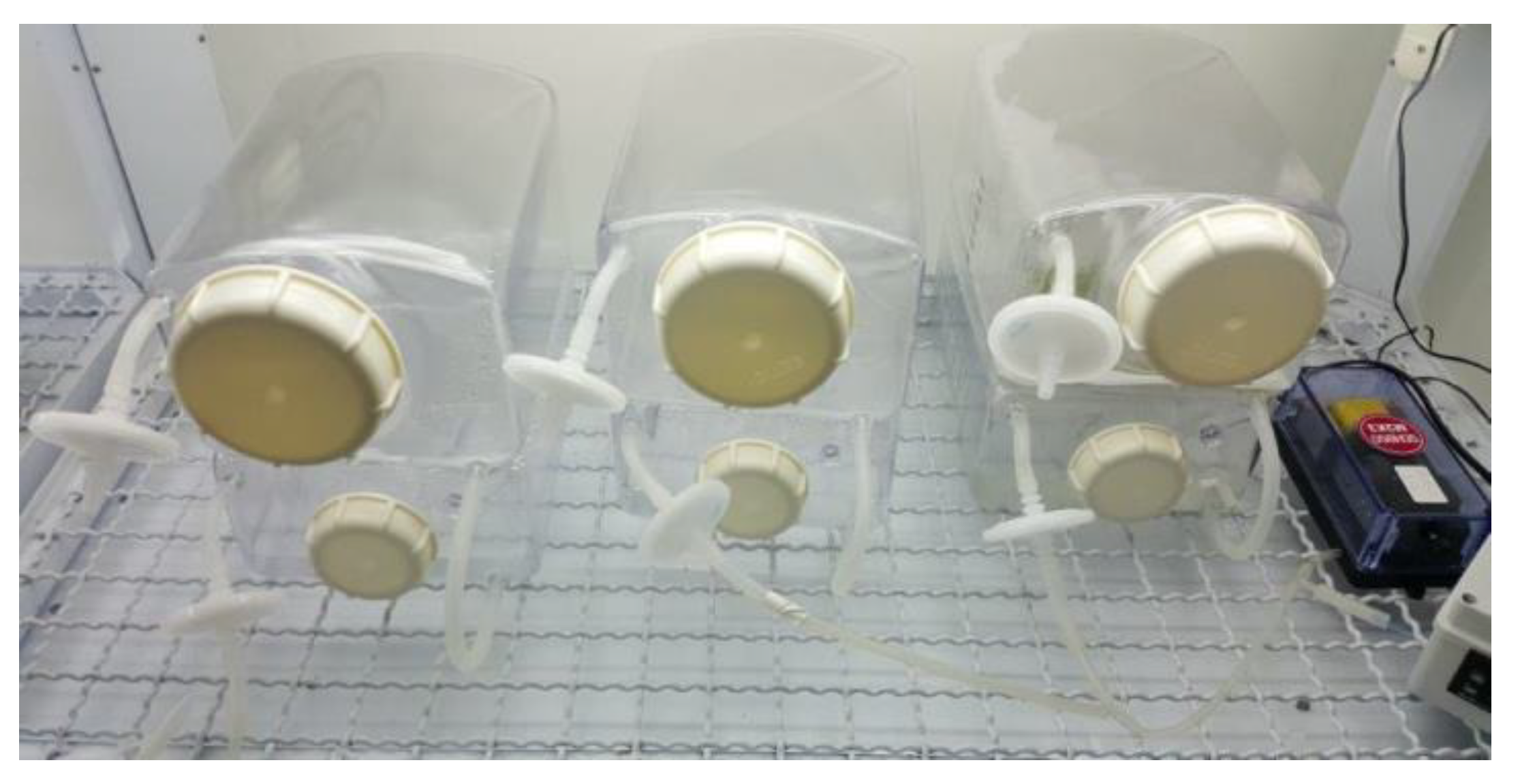 Agronomy 11 02414 g002