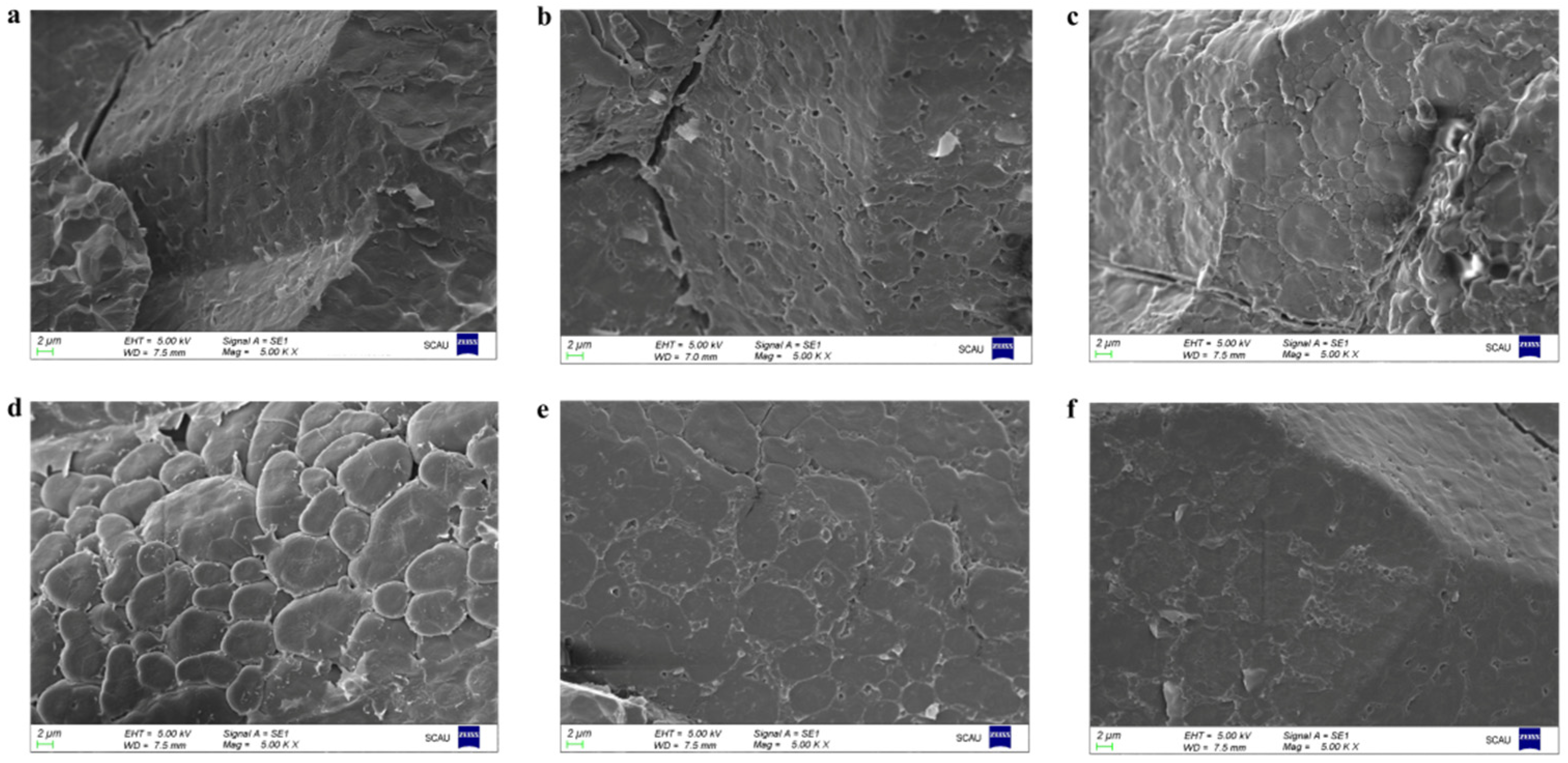 Agronomy 11 02416 g002