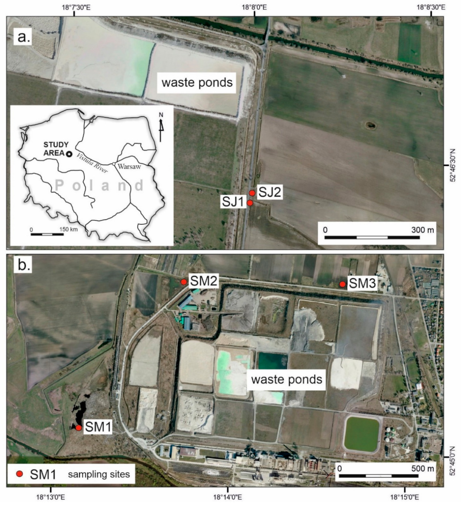 Agronomy 11 02419 g001 Agronomy 11 02419 g001