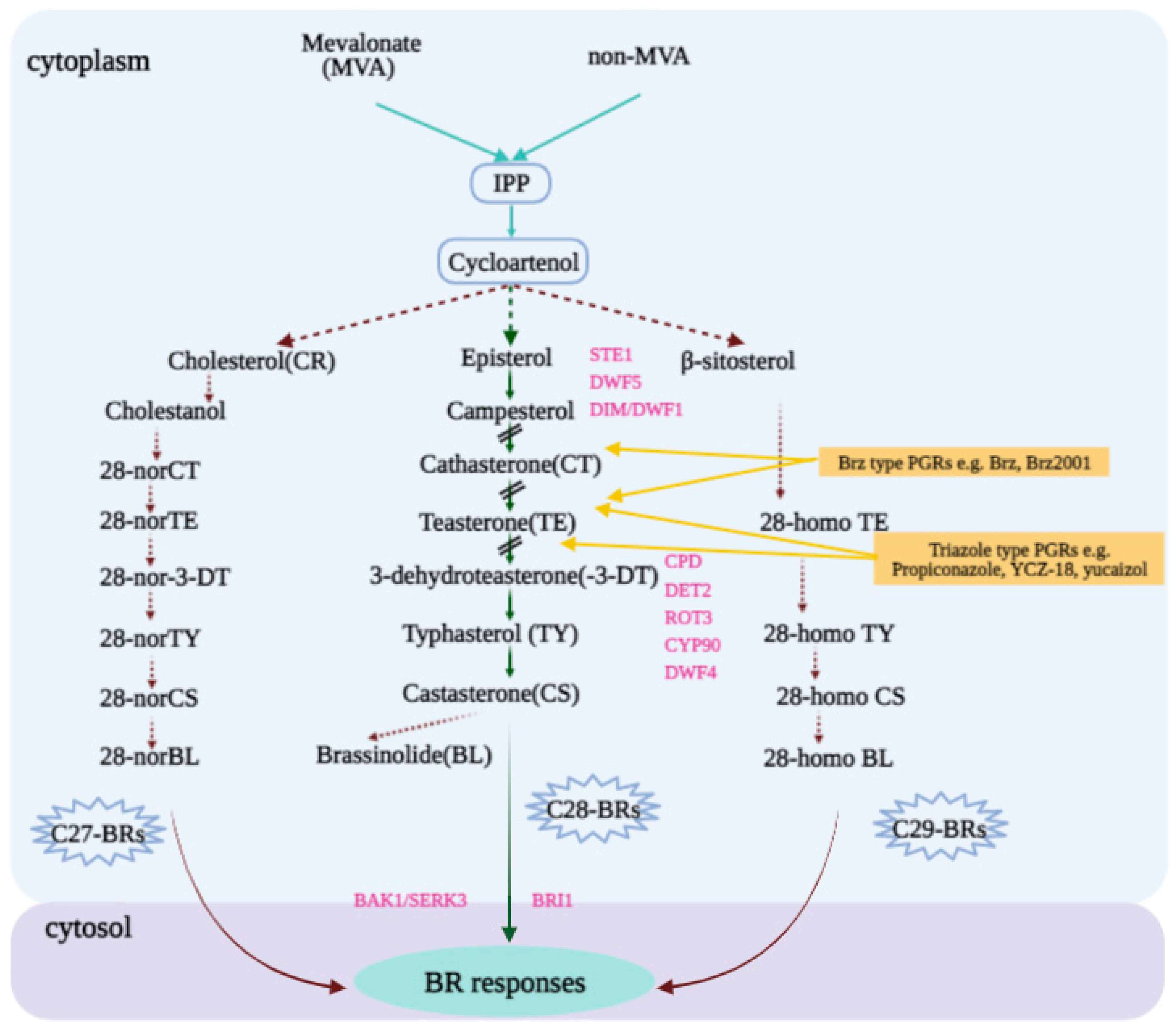 Agronomy 11 02421 g002