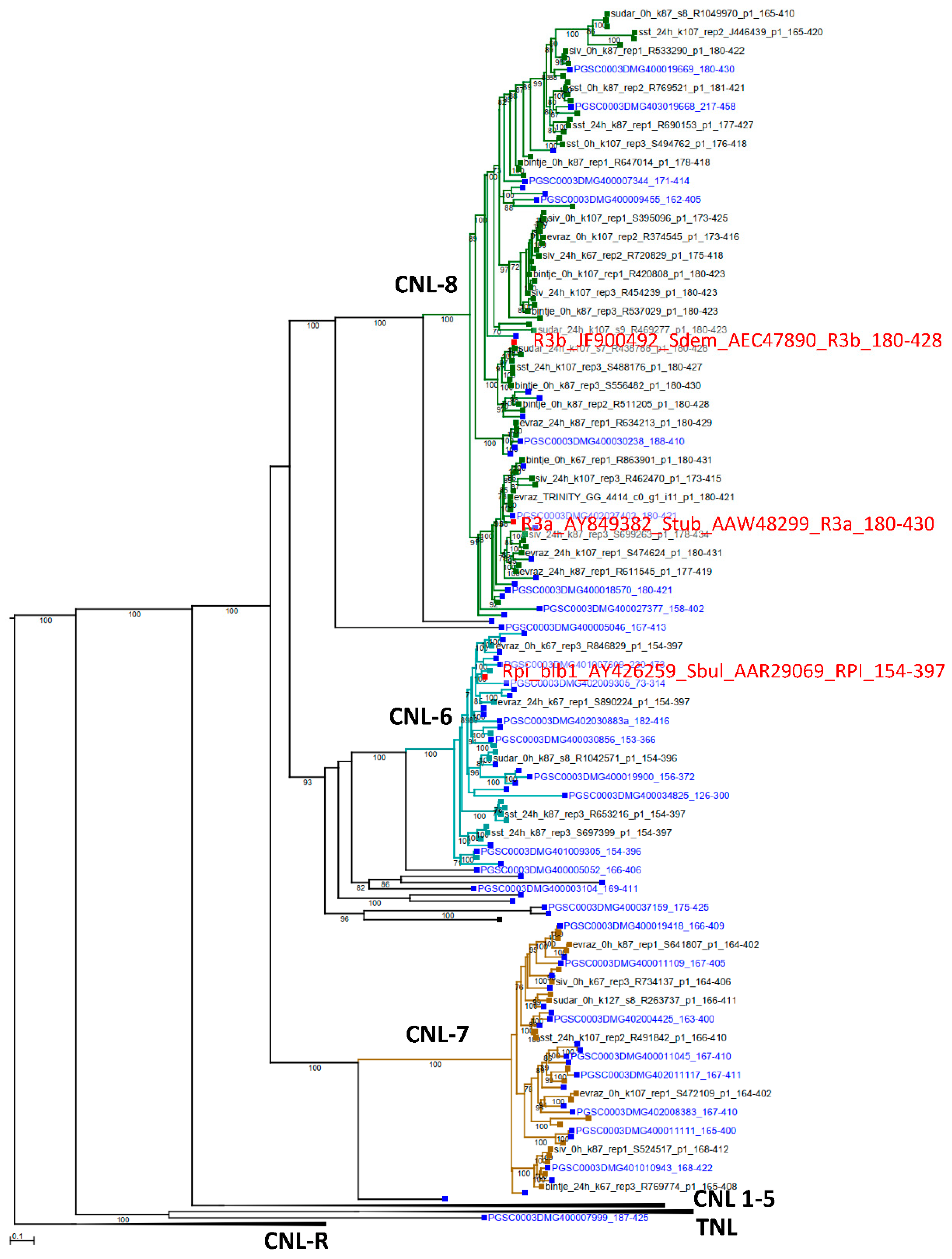 Agronomy 11 02426 g003 550