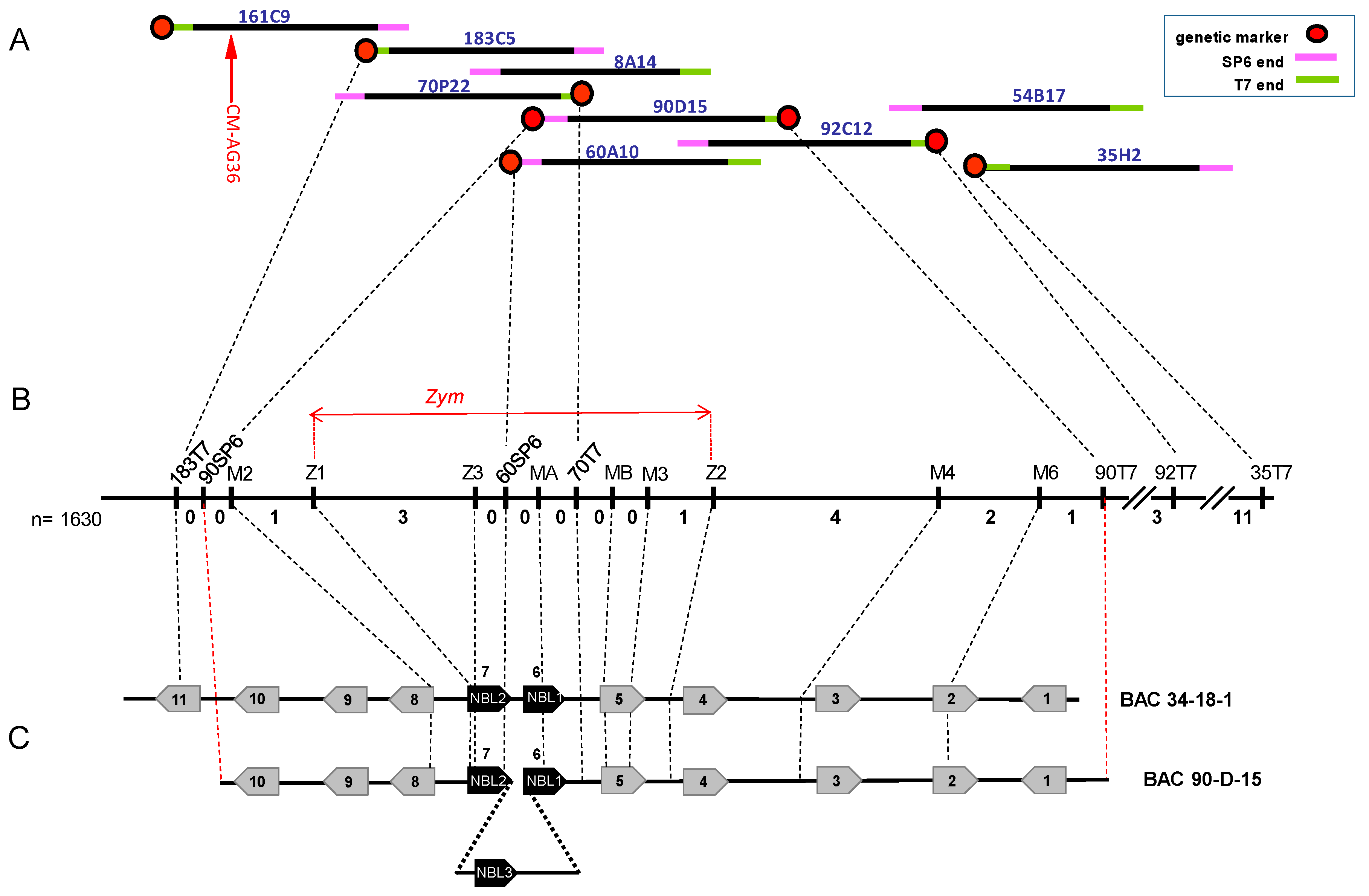 Agronomy 11 02427 g003