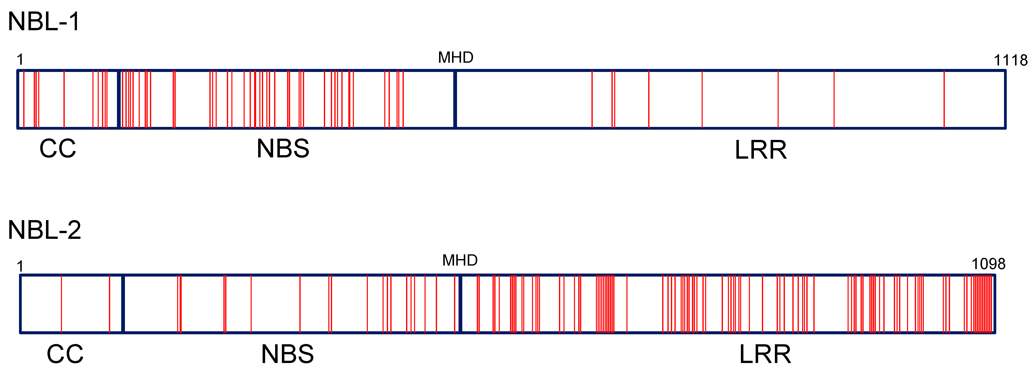 Agronomy 11 02427 g005