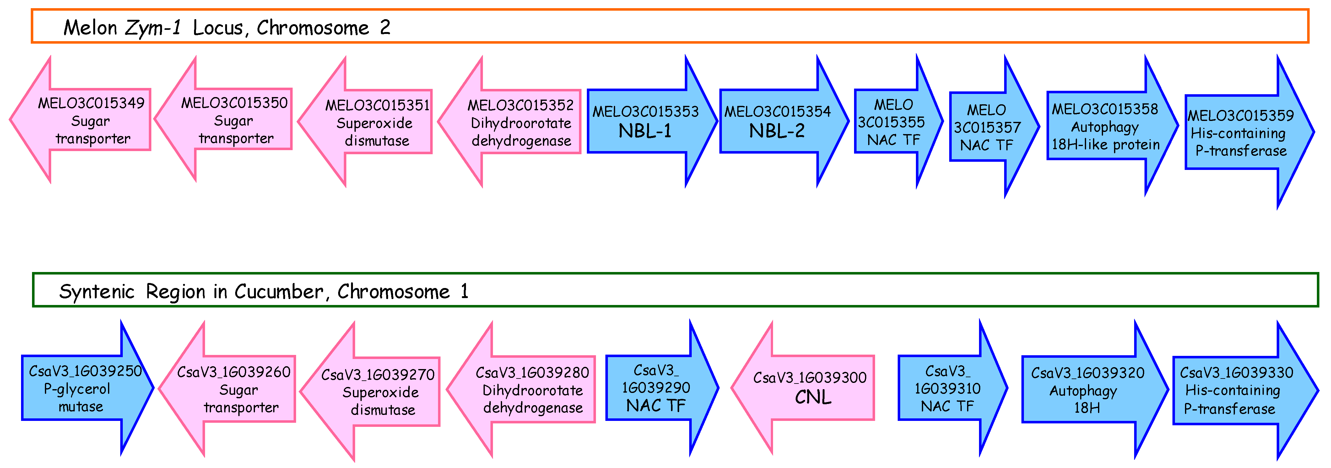 Agronomy 11 02427 g006