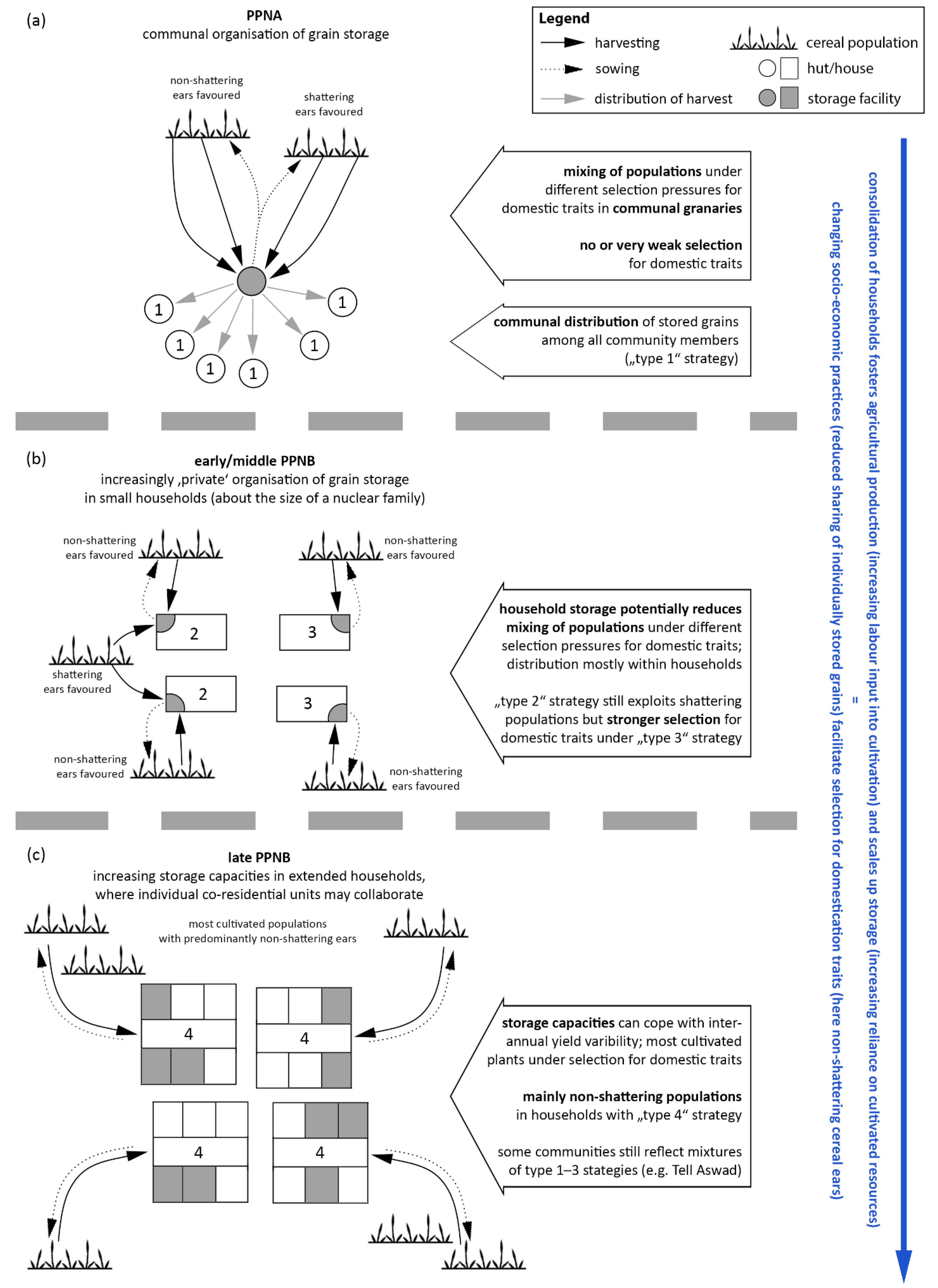 Agronomy 11 02432 g003