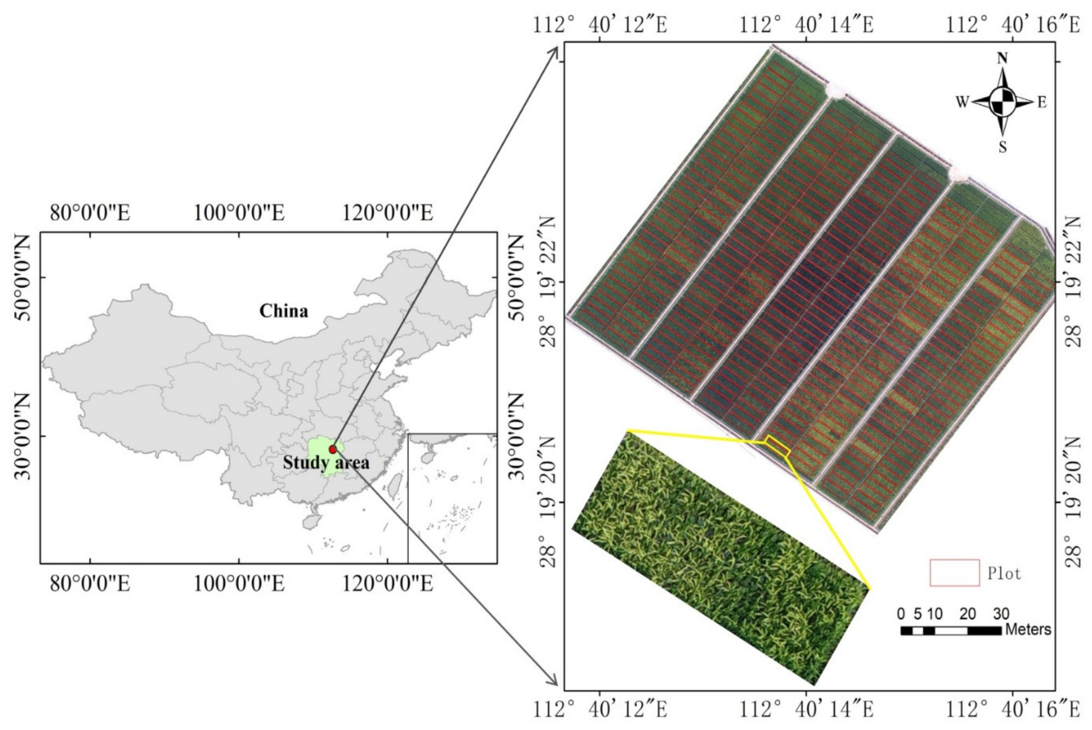 Agronomy 11 02439 g001