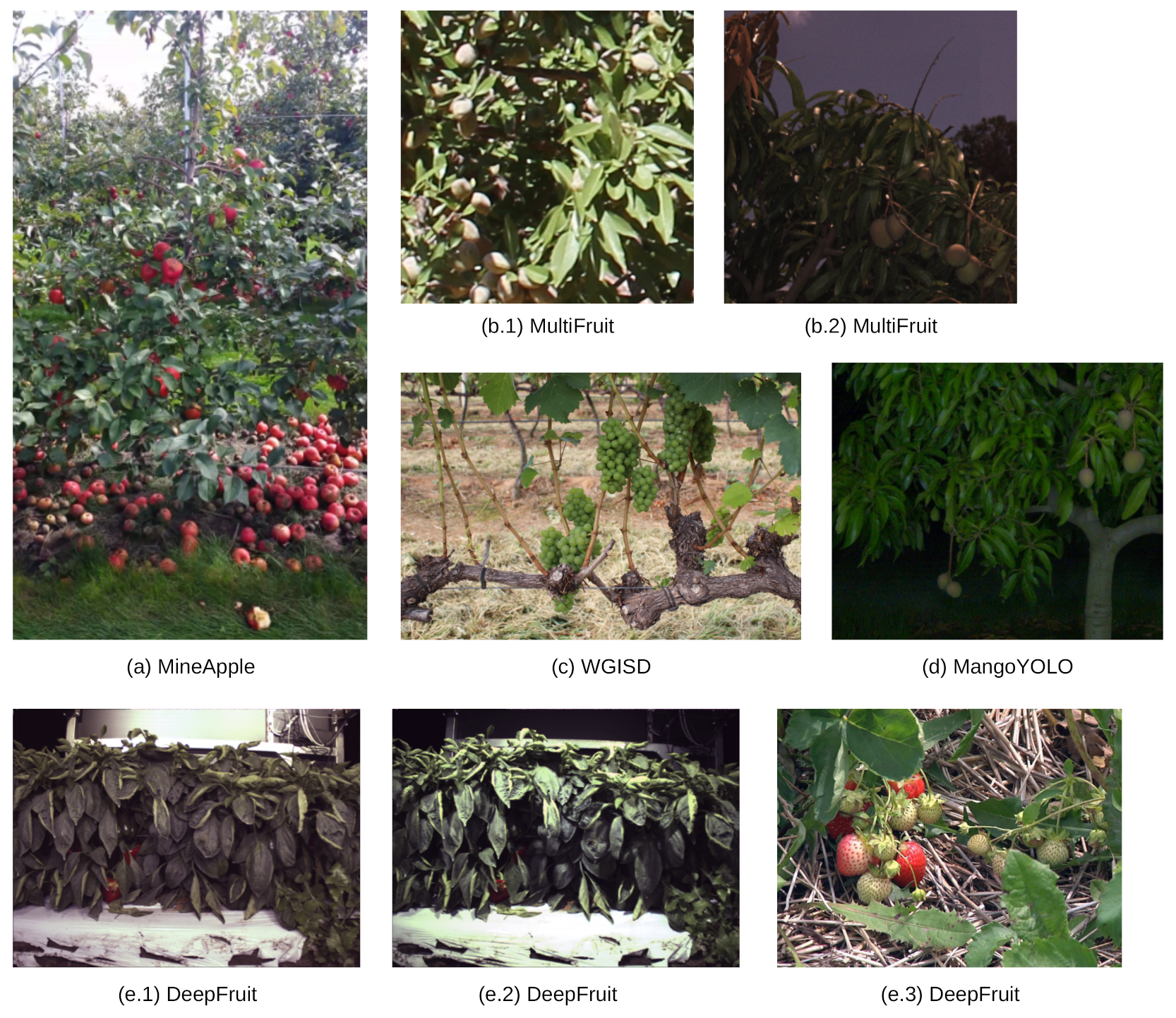 Agronomy 11 02440 g009 550