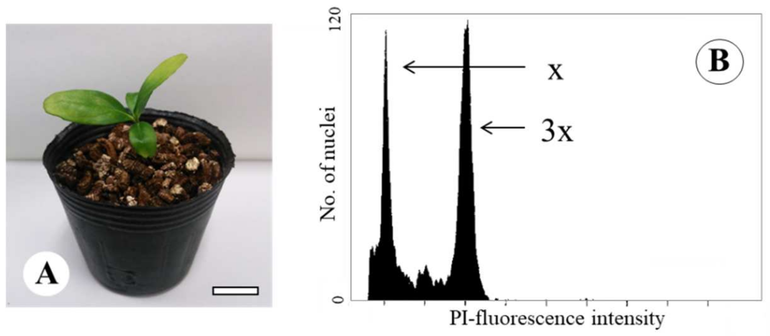 Agronomy 11 02441 g005 Agronomy 11 02441 g005