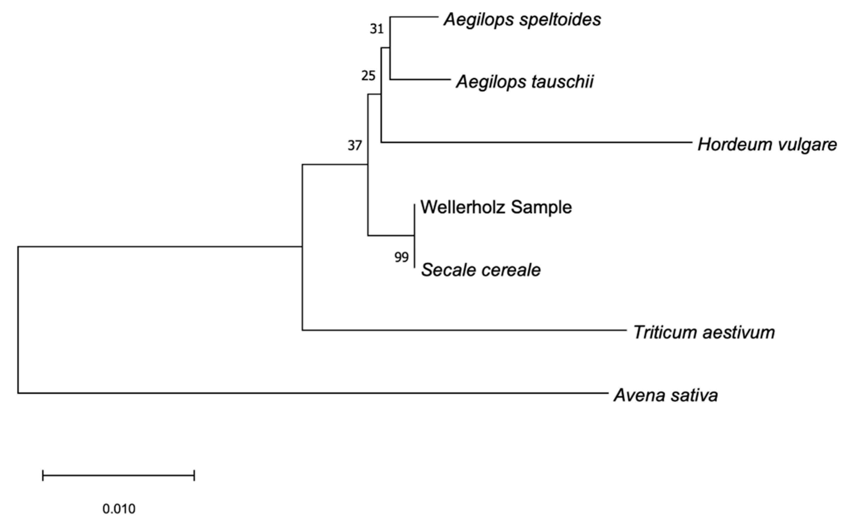 Agronomy 11 02451 g009 Agronomy 11 02451 g009