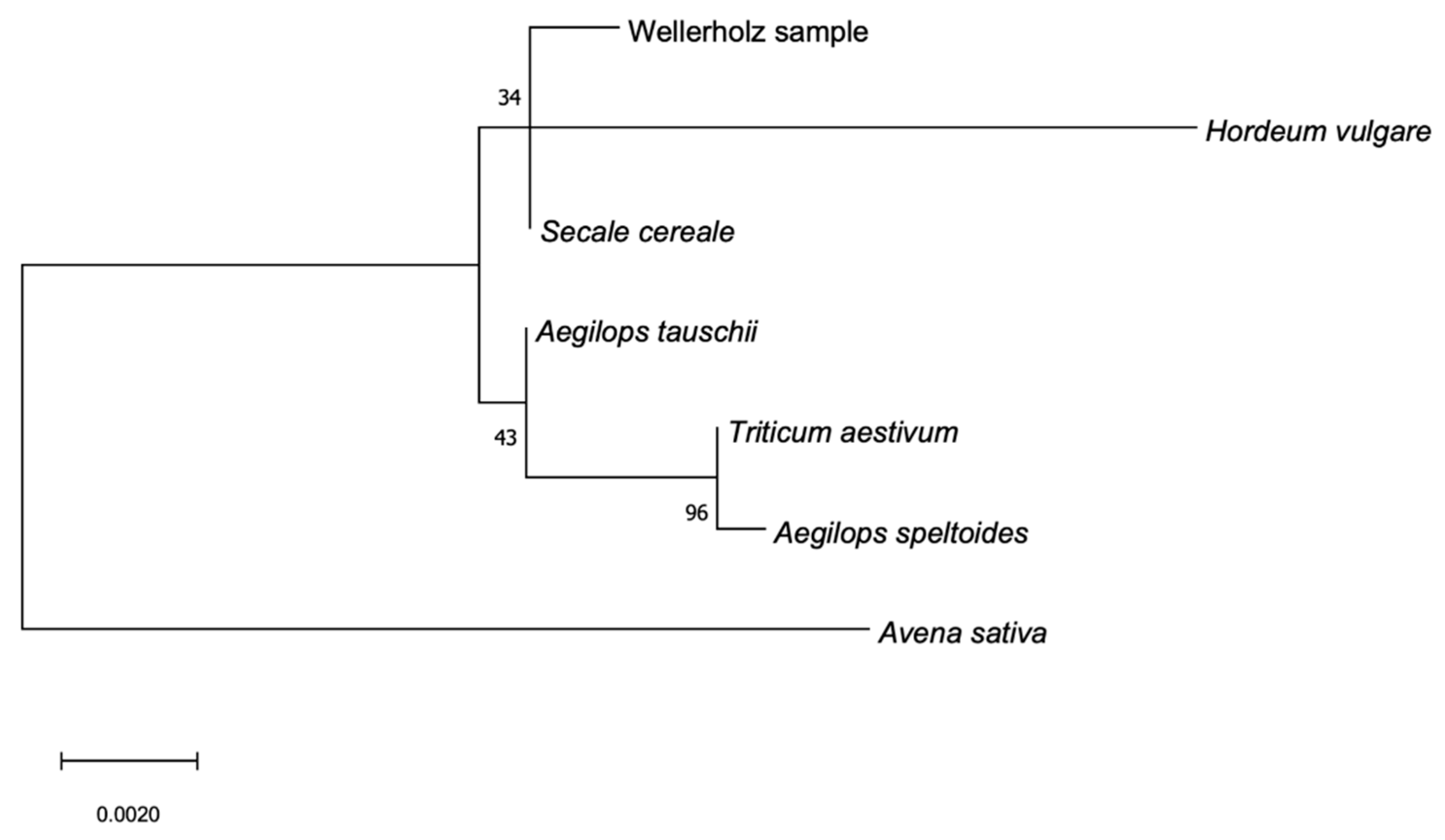 Agronomy 11 02451 g010 Agronomy 11 02451 g010