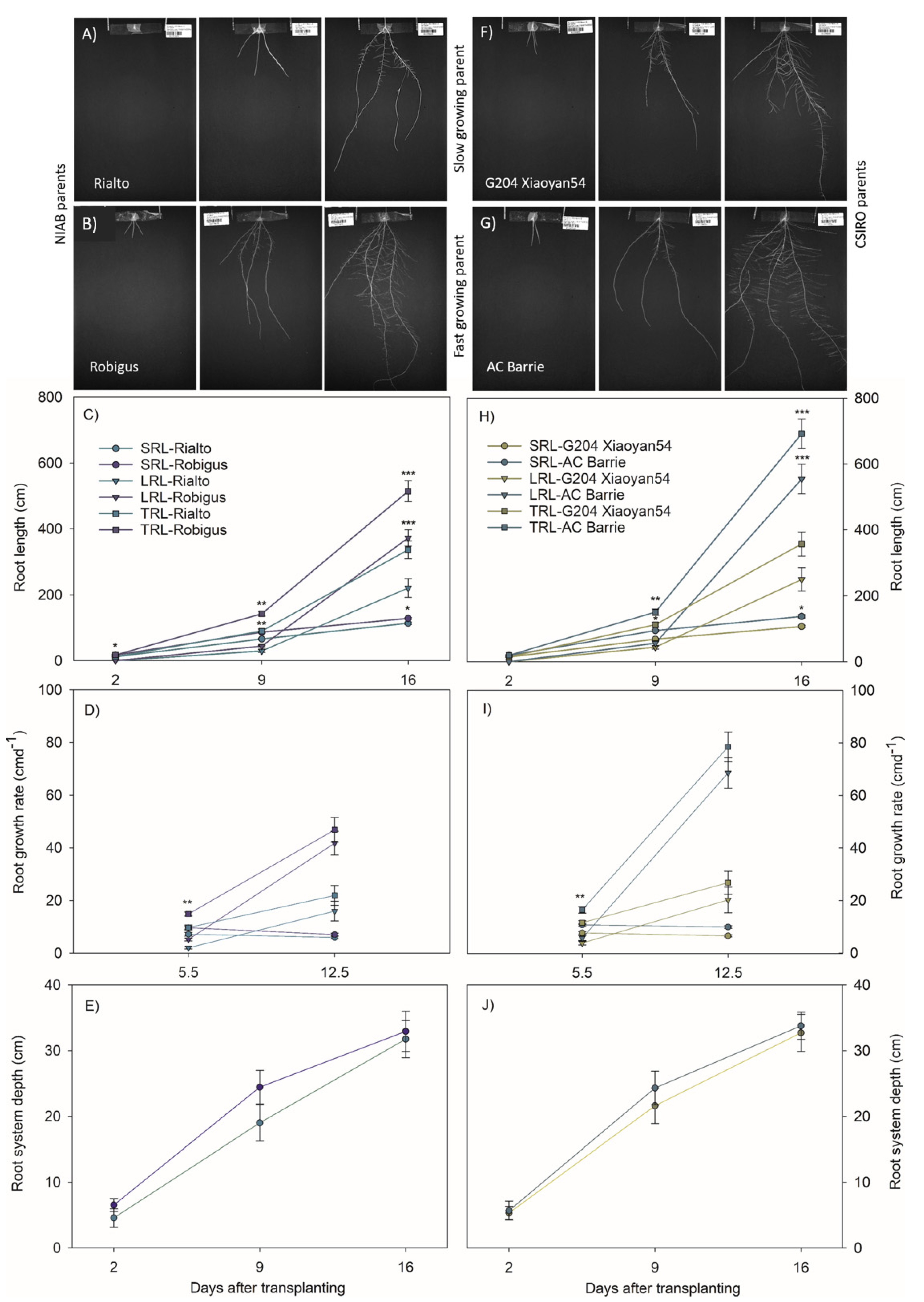 Agronomy 11 02452 g004
