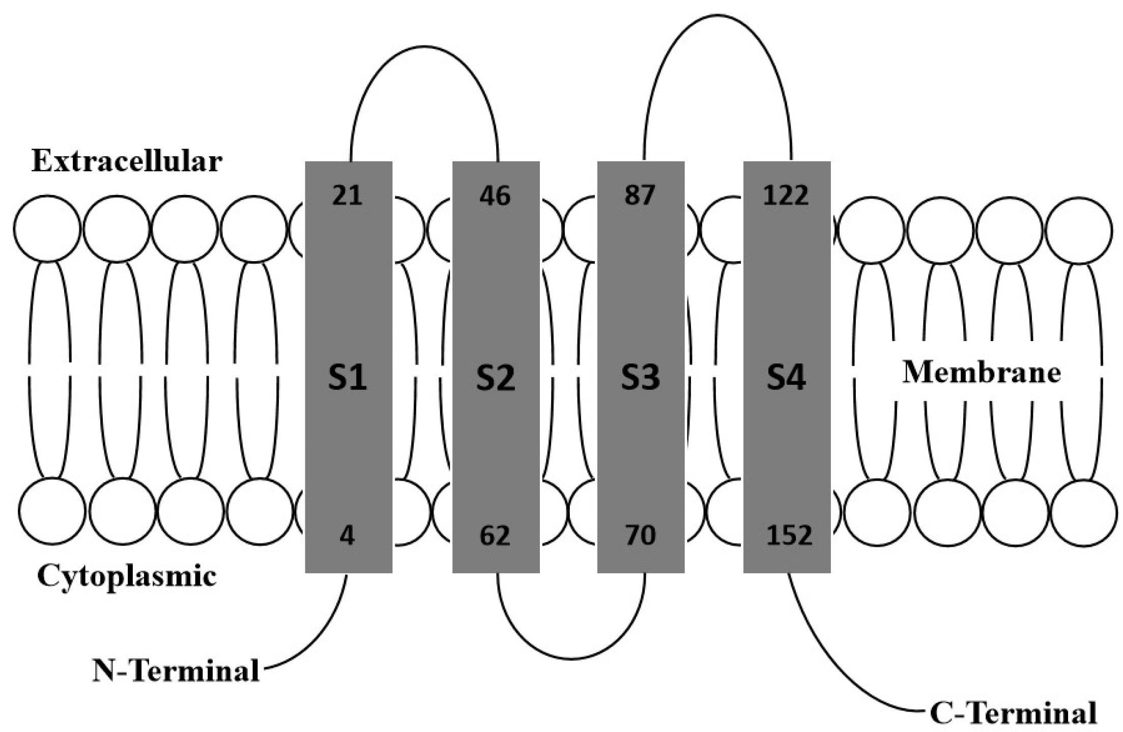 Agronomy 11 02454 g003