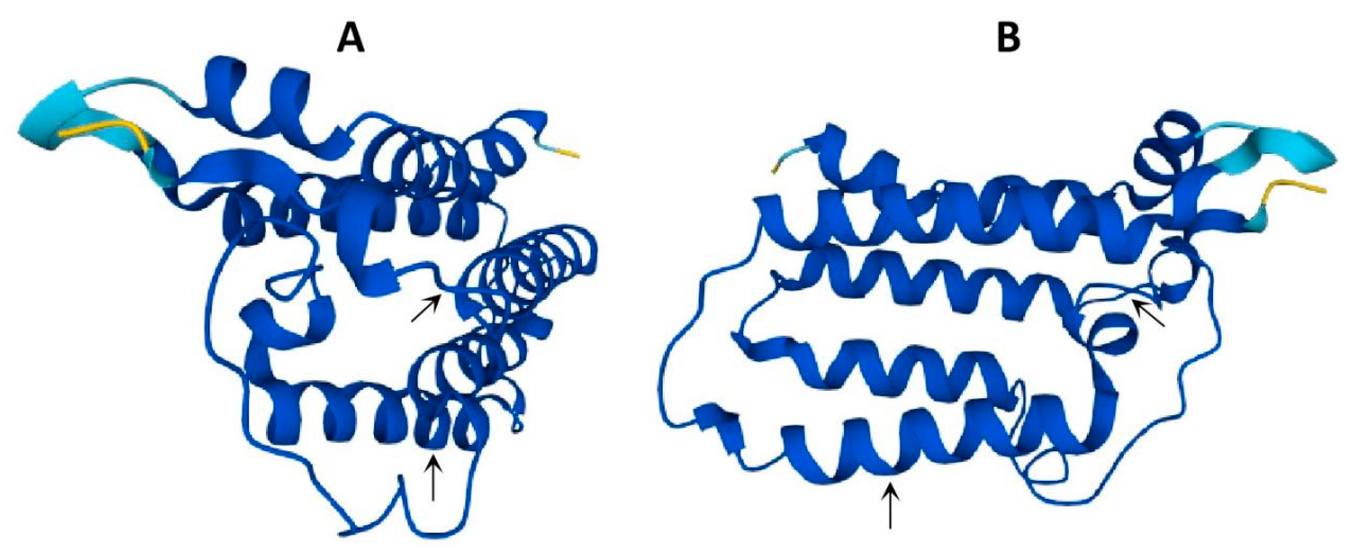 Agronomy 11 02454 g004