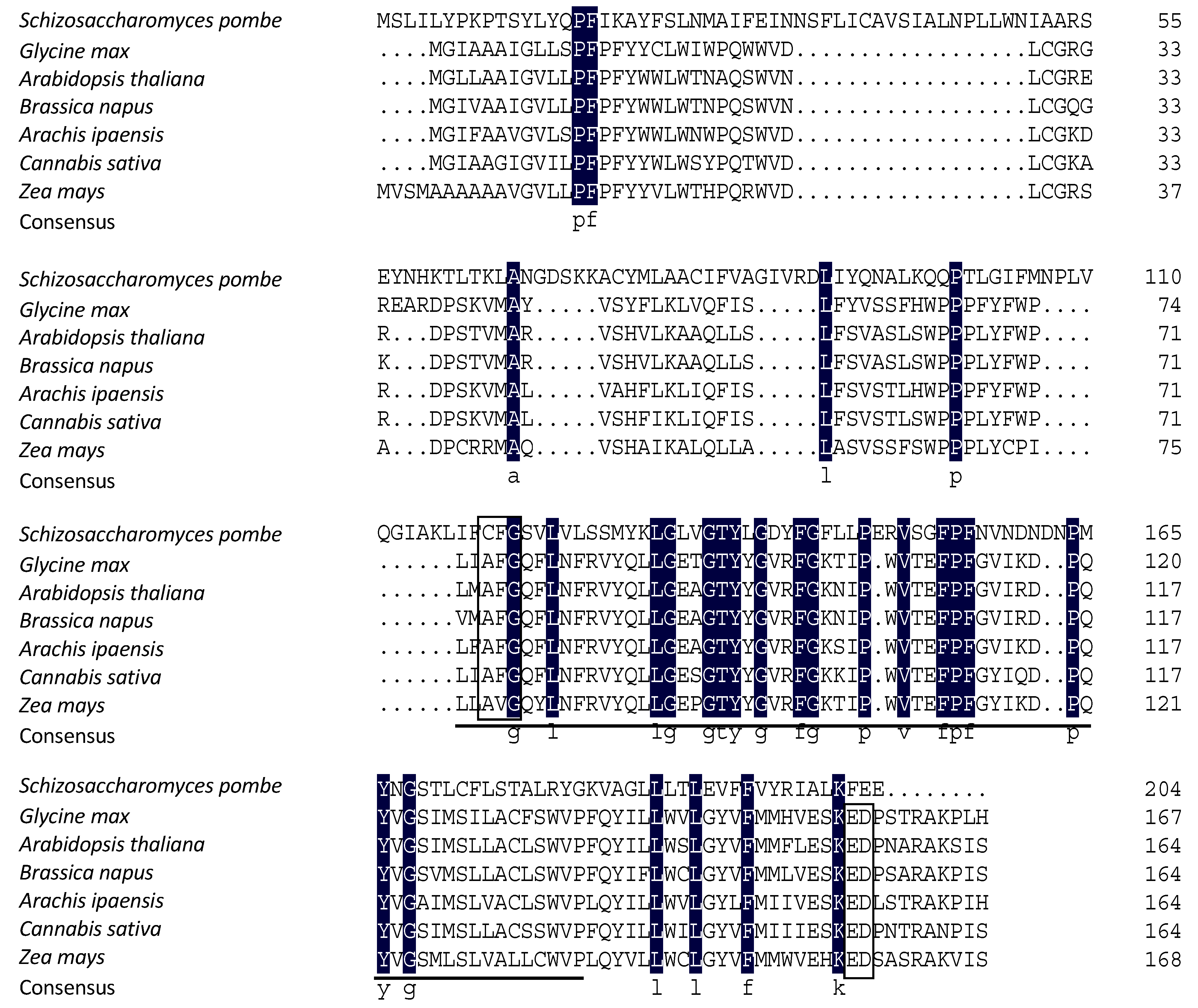 Agronomy 11 02454 g005