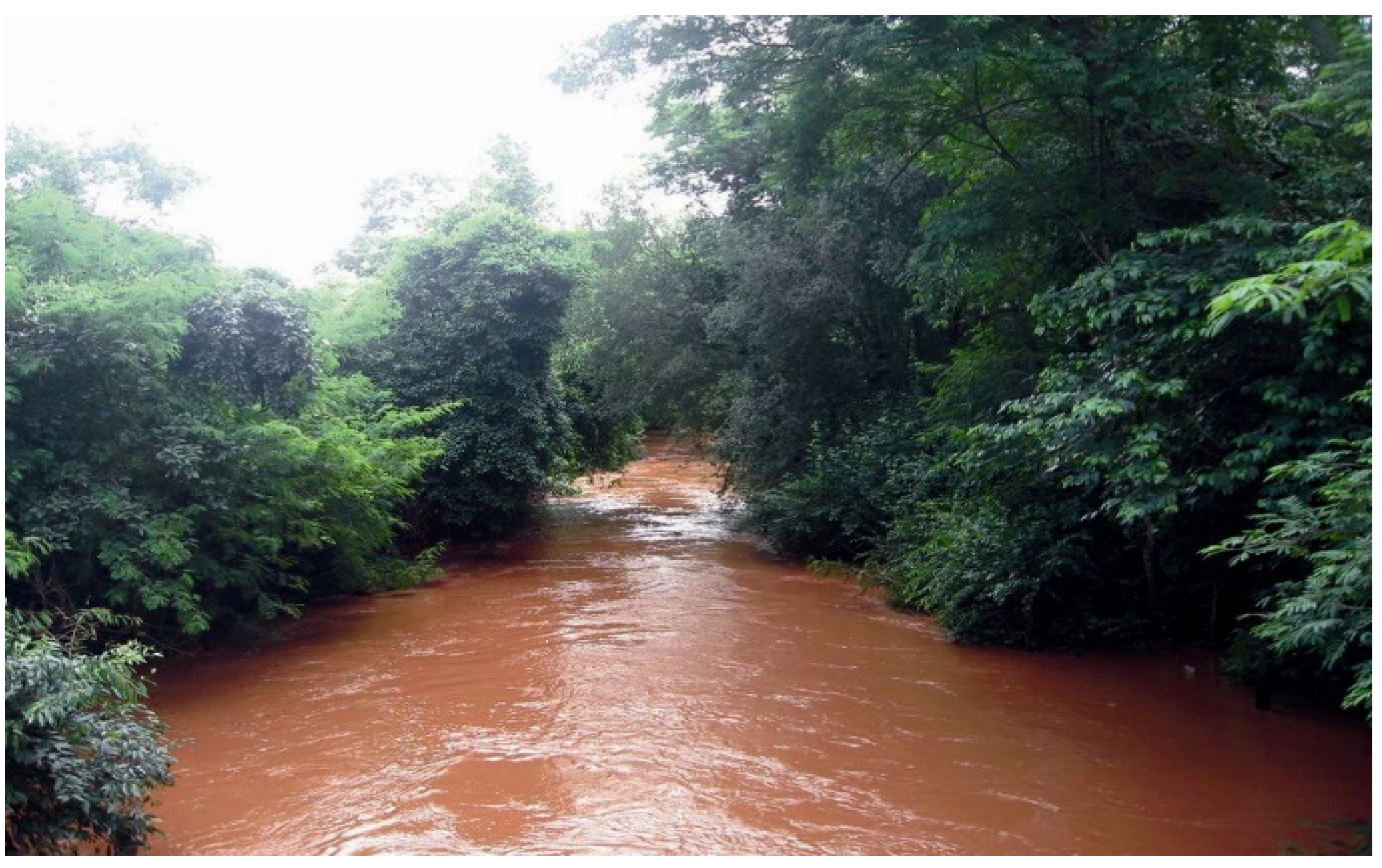 Agronomy 11 02455 g002 550