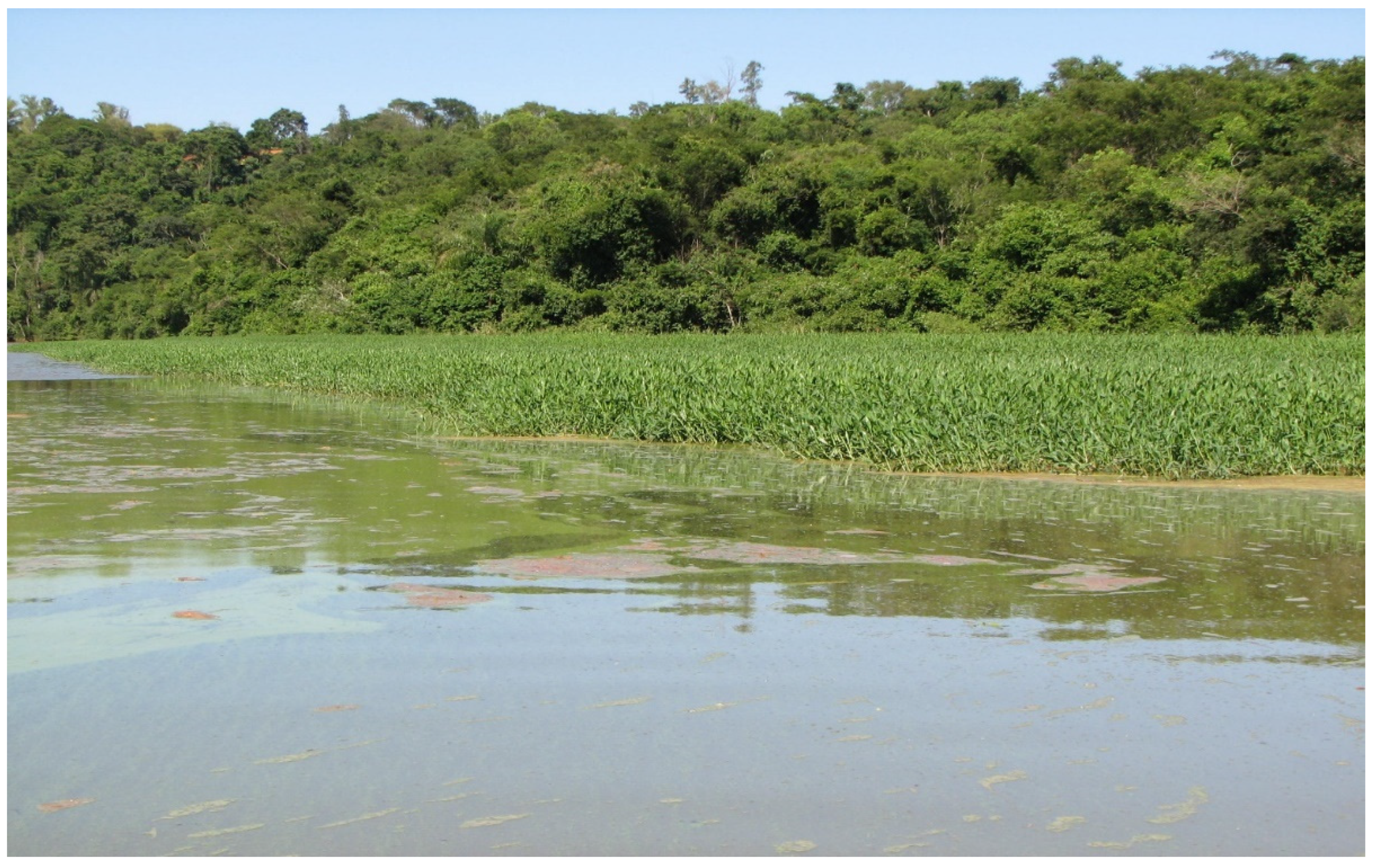 Agronomy 11 02455 g004 550