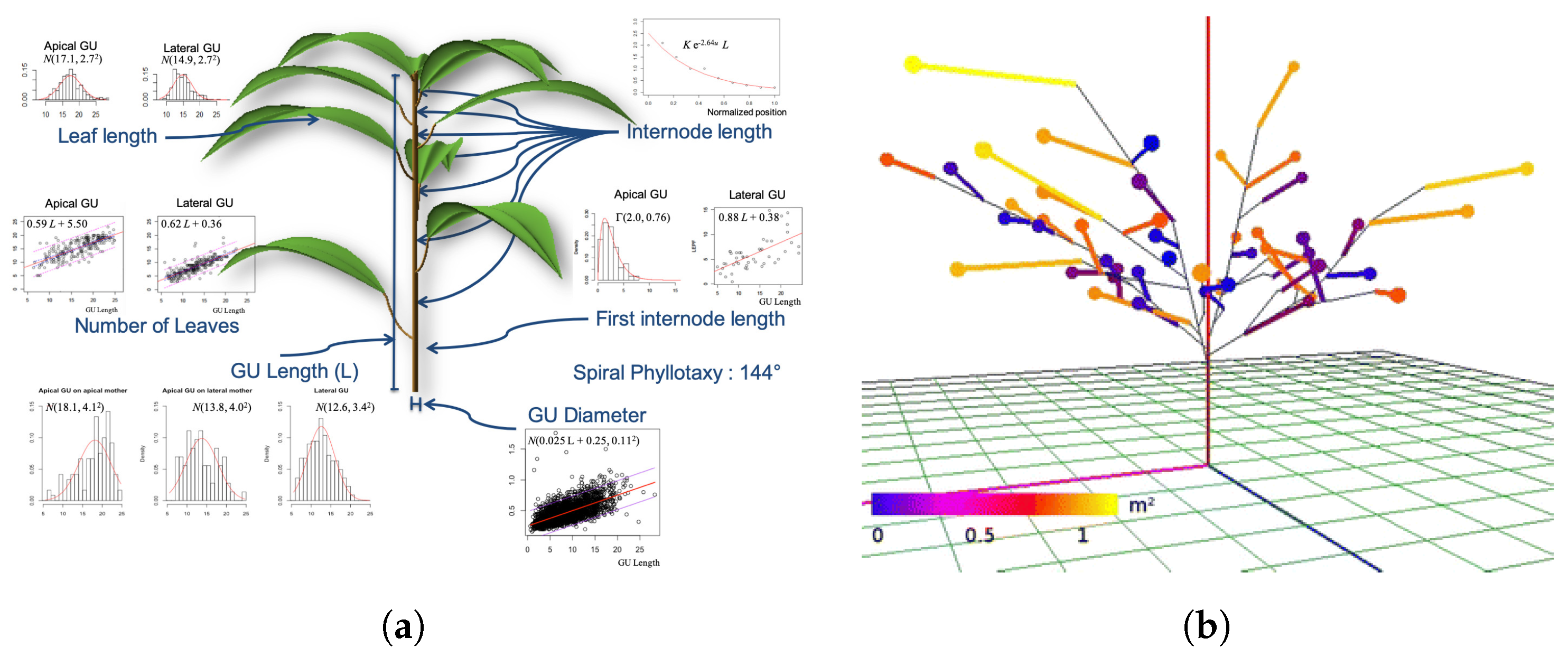 Agronomy 11 02458 g004 550