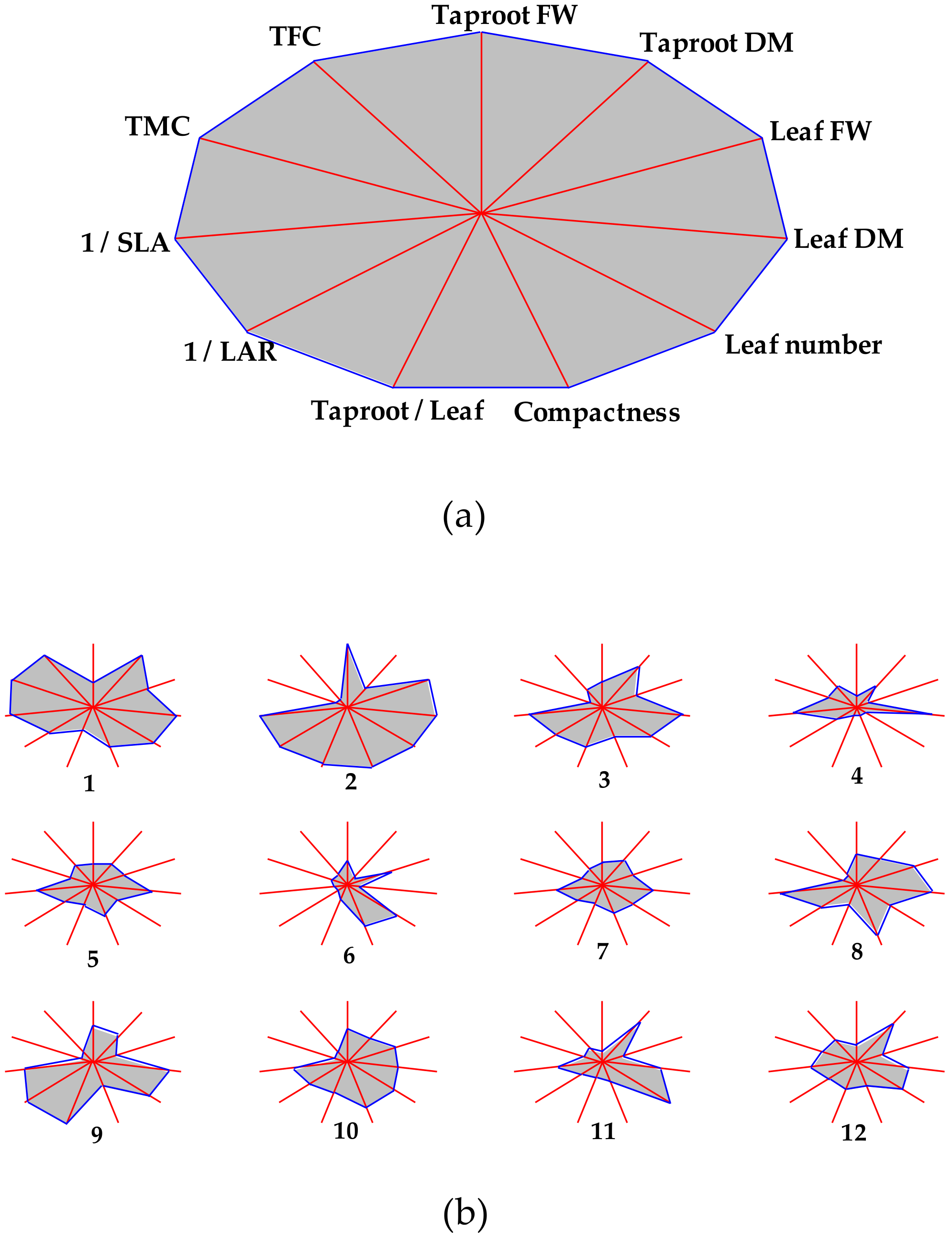 Agronomy 11 02460 g007 Agronomy 11 02460 g007