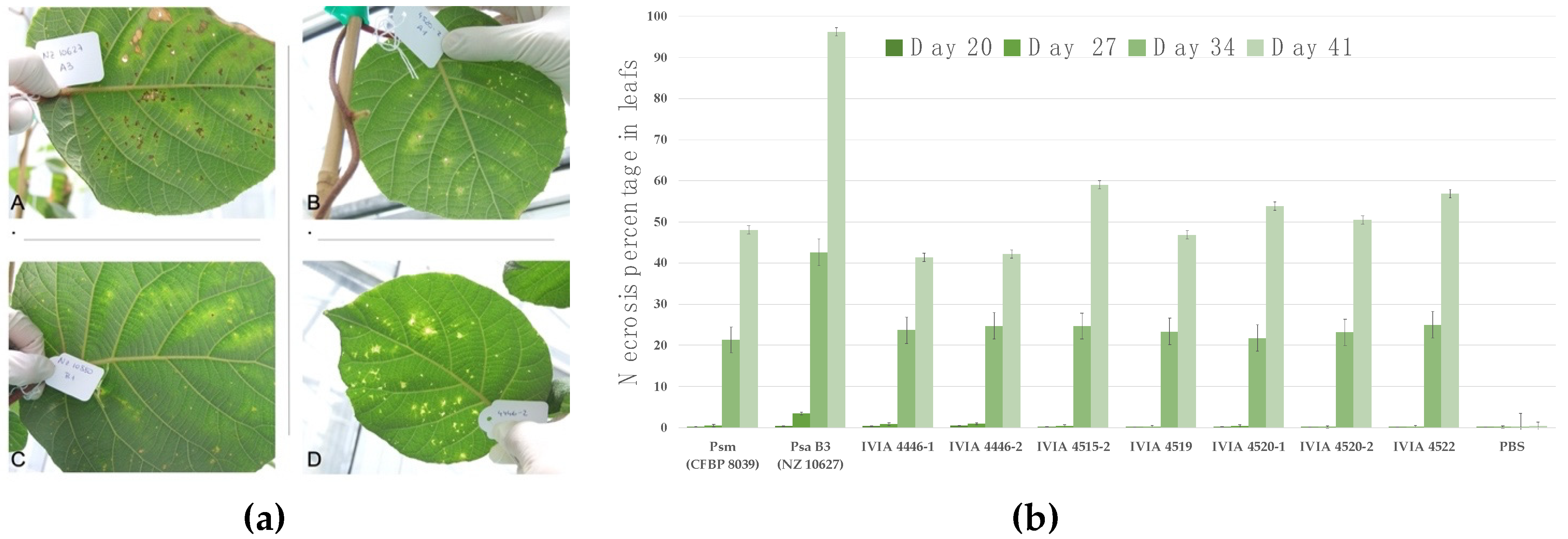 Agronomy 11 02464 g001 Agronomy 11 02464 g001