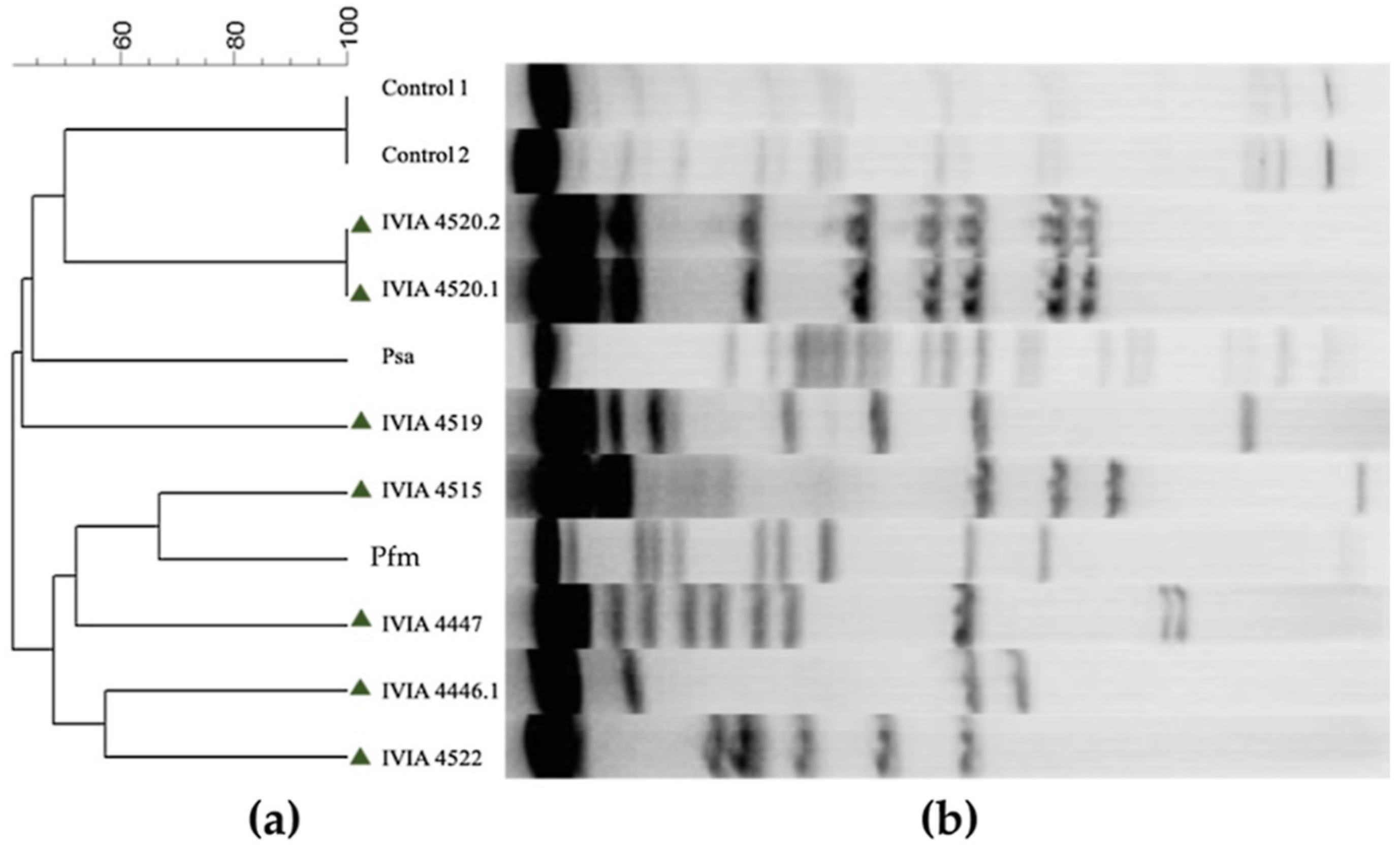 Agronomy 11 02464 g002 Agronomy 11 02464 g002