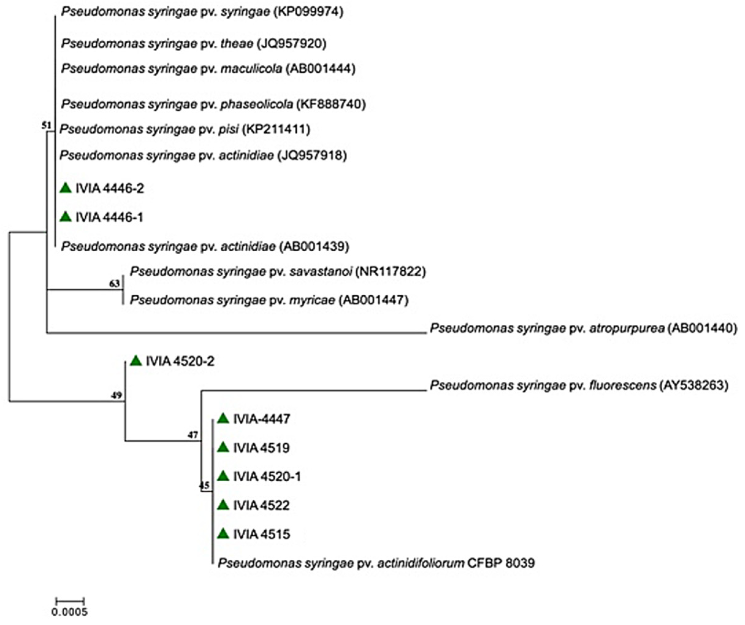 Agronomy 11 02464 g003 Agronomy 11 02464 g003
