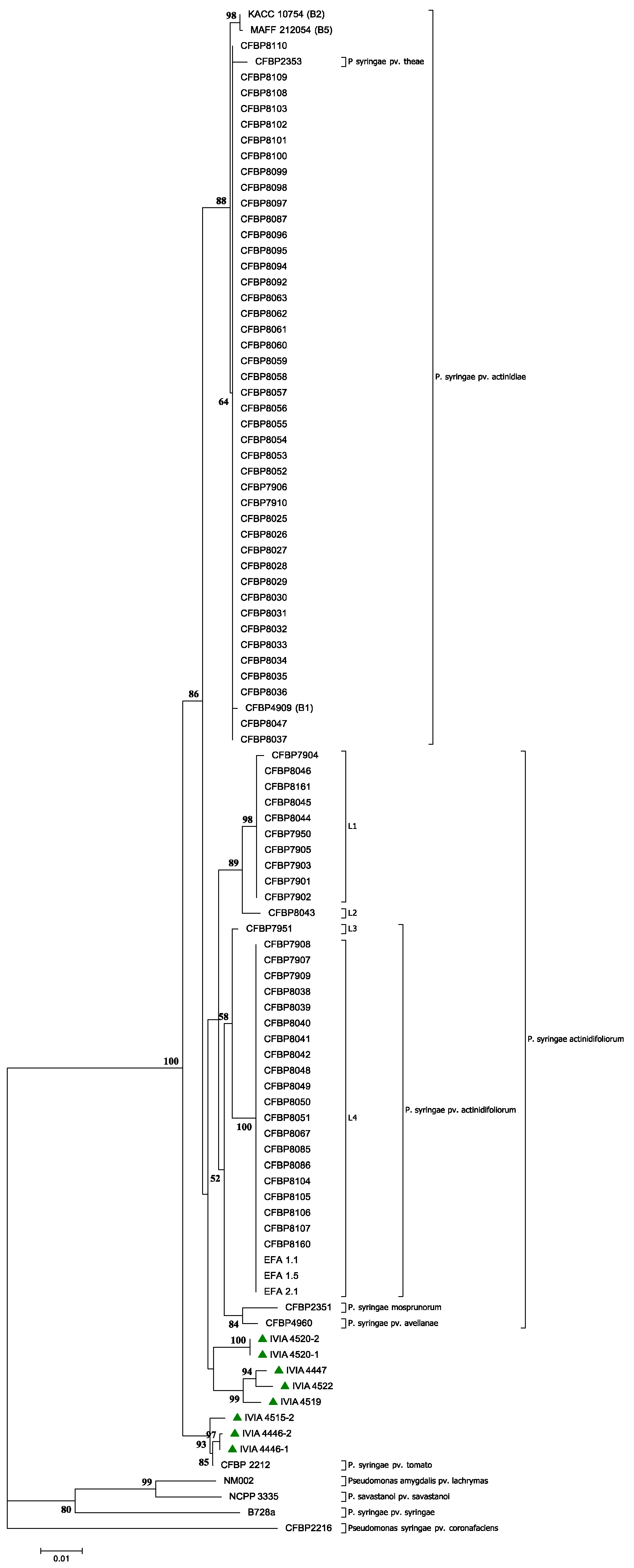 Agronomy 11 02464 g004 Agronomy 11 02464 g004