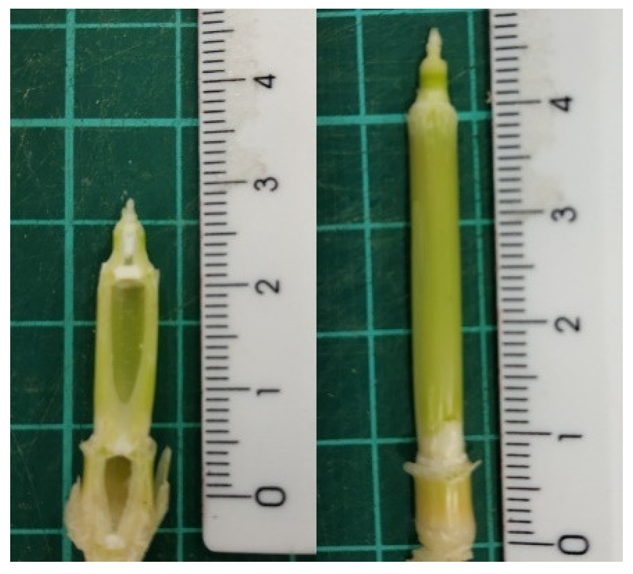 Agronomy 11 02465 g002