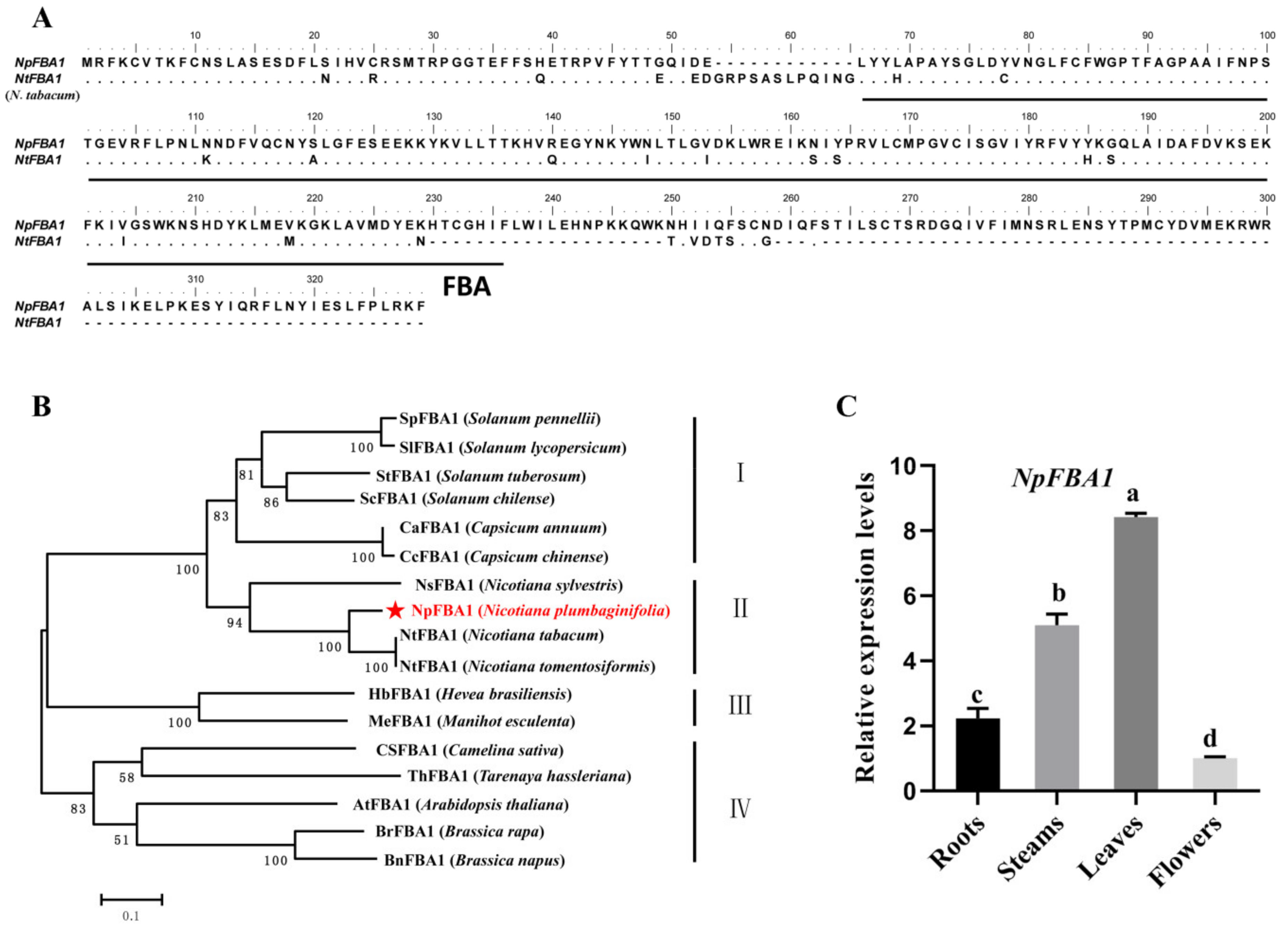 Agronomy 11 02478 g001