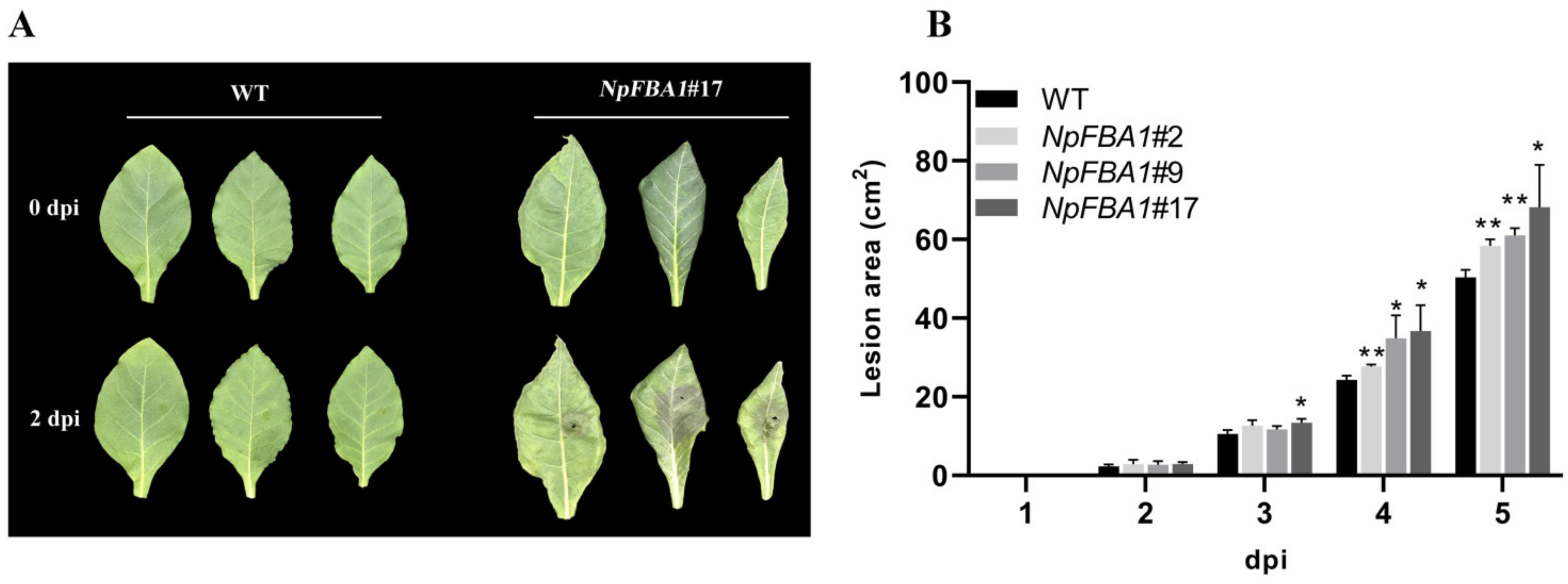 Agronomy 11 02478 g007