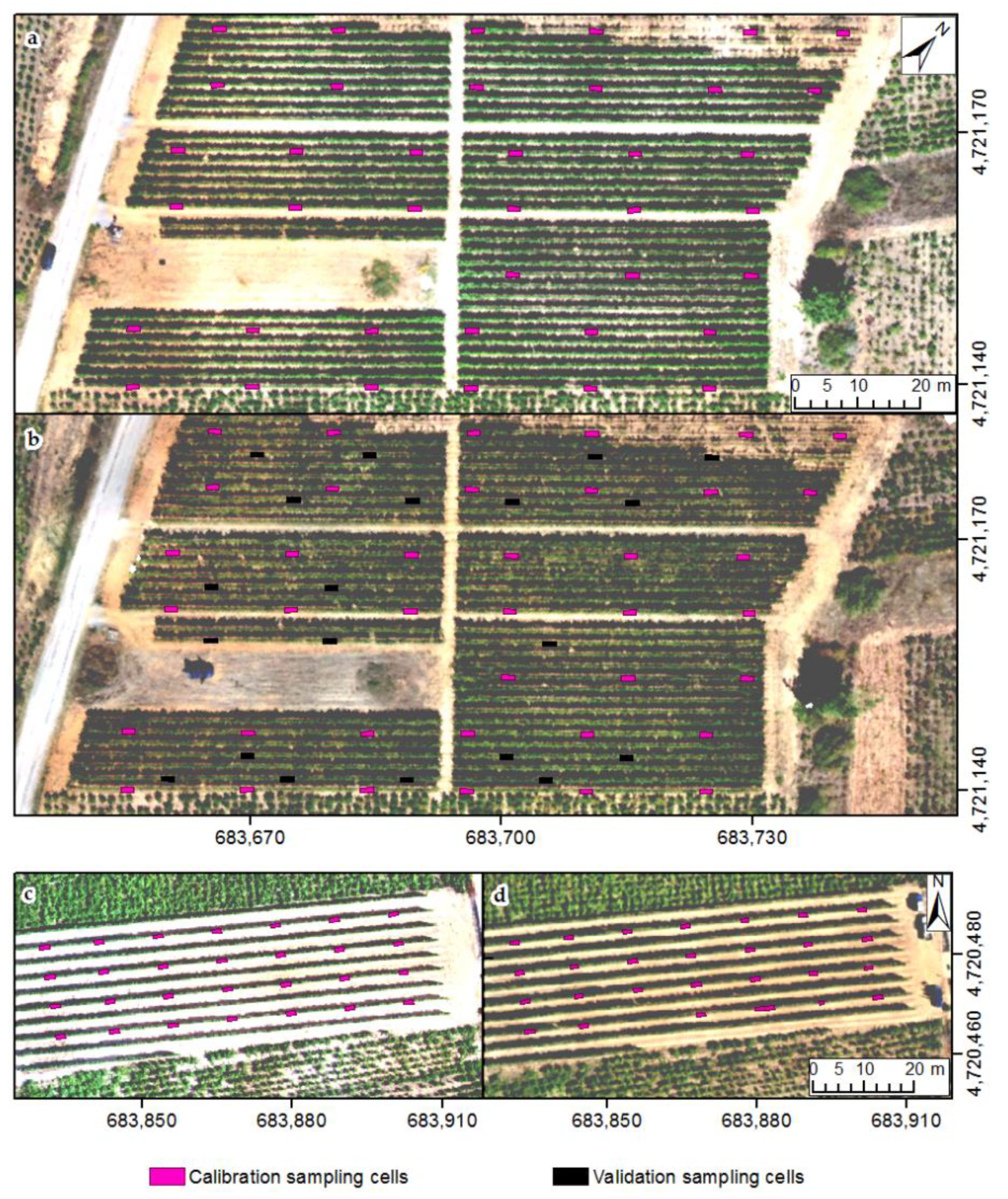Agronomy 11 02489 g002