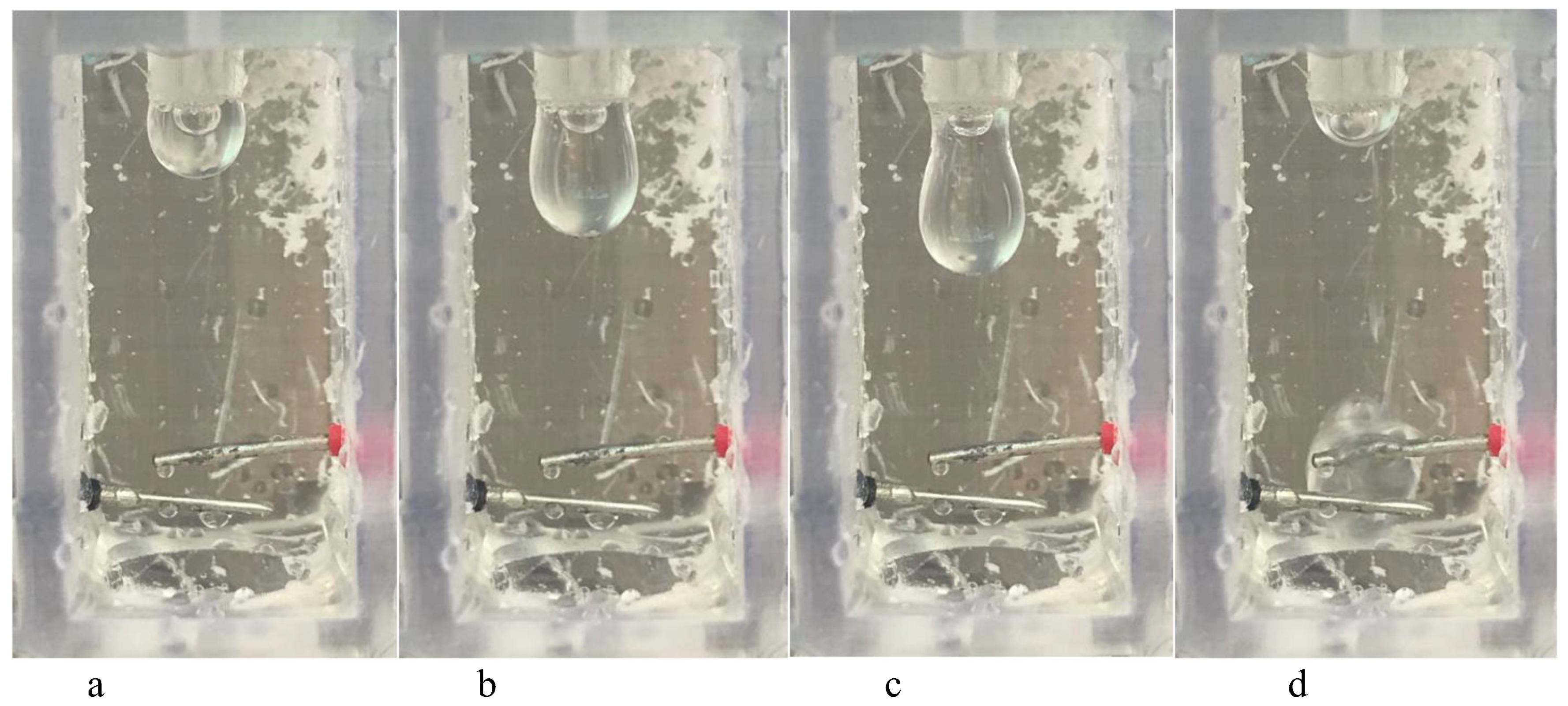 Agronomy 11 02493 g004 550