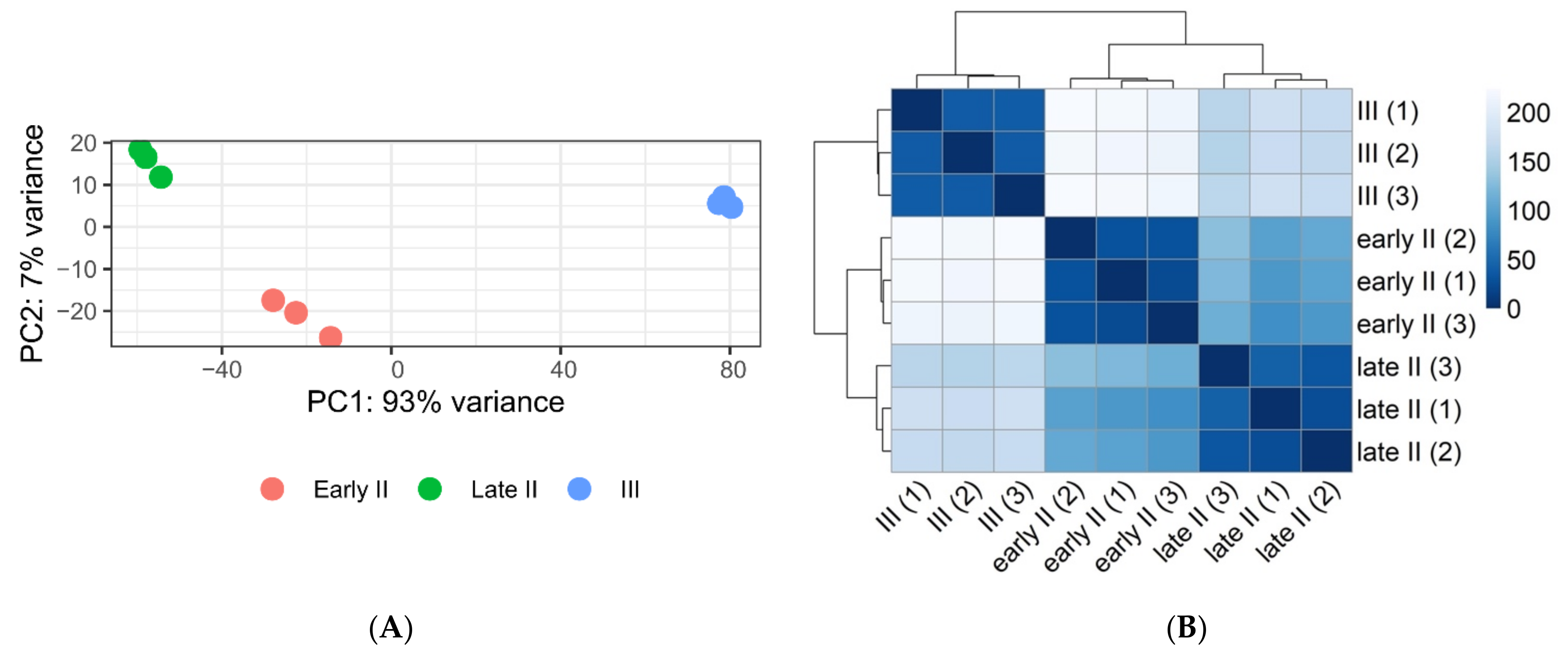 Agronomy 11 02504 g002