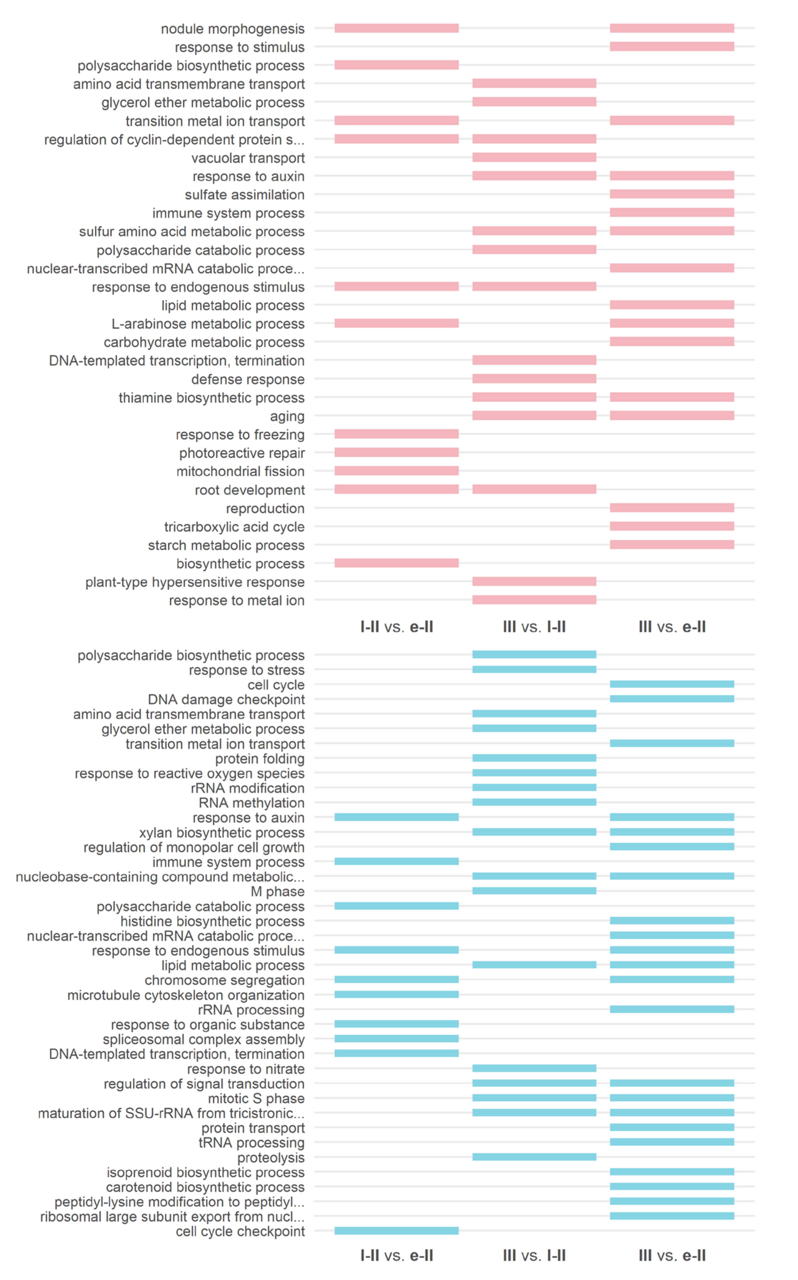 Agronomy 11 02504 g004