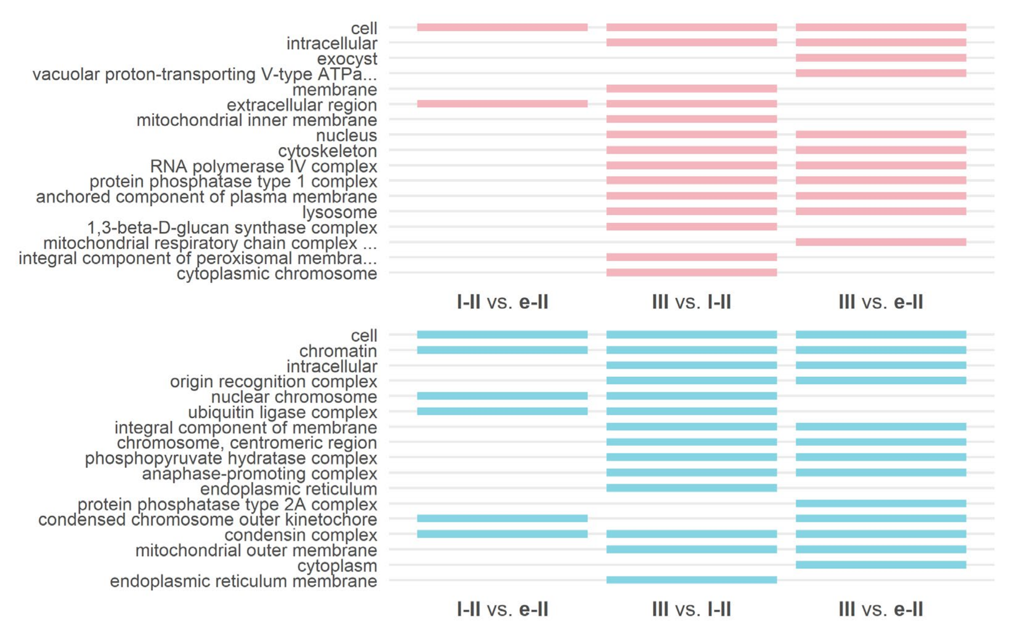 Agronomy 11 02504 g006