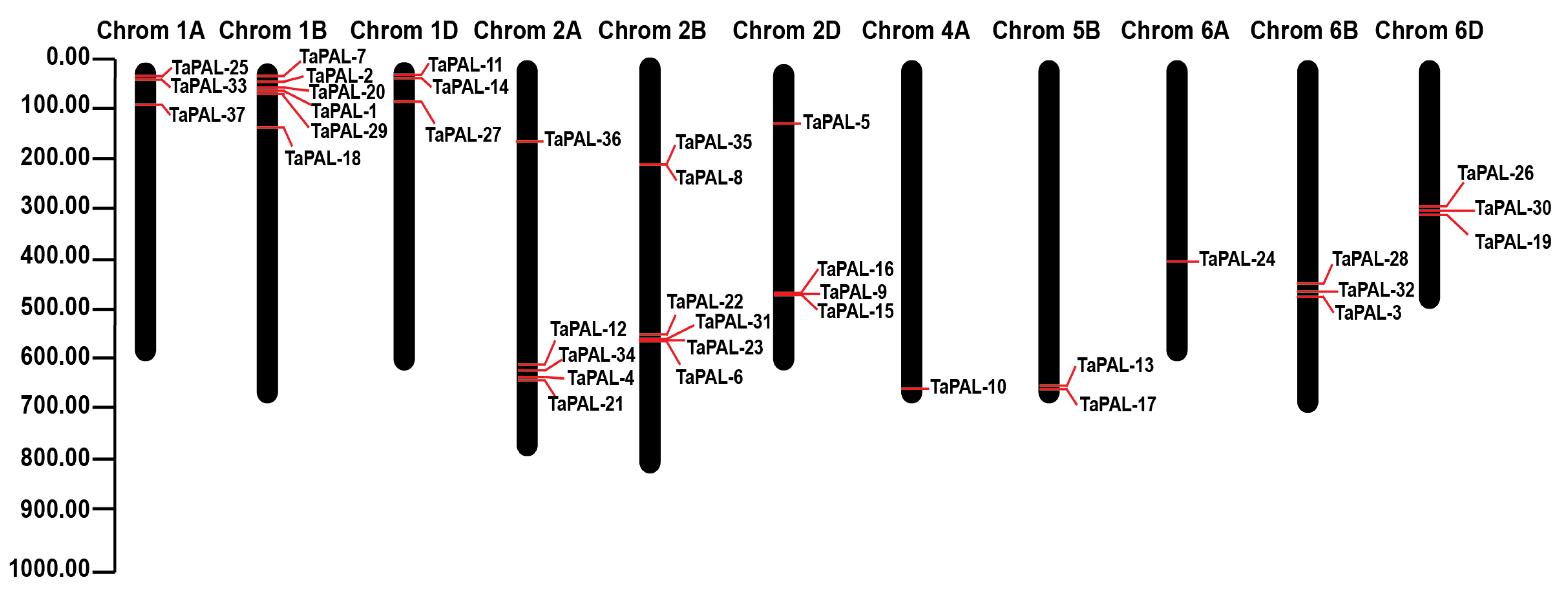 Agronomy 11 02511 g001