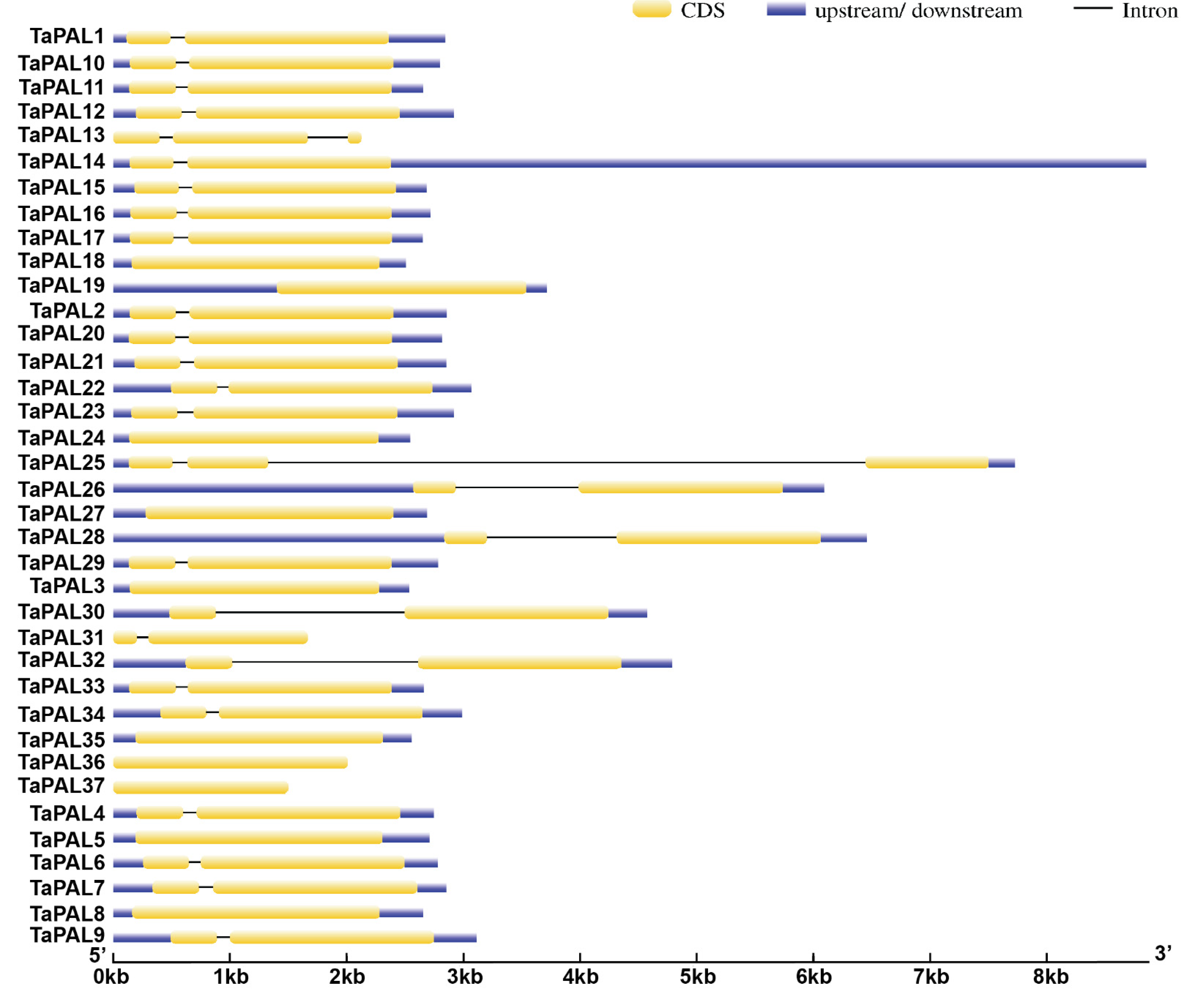Agronomy 11 02511 g003