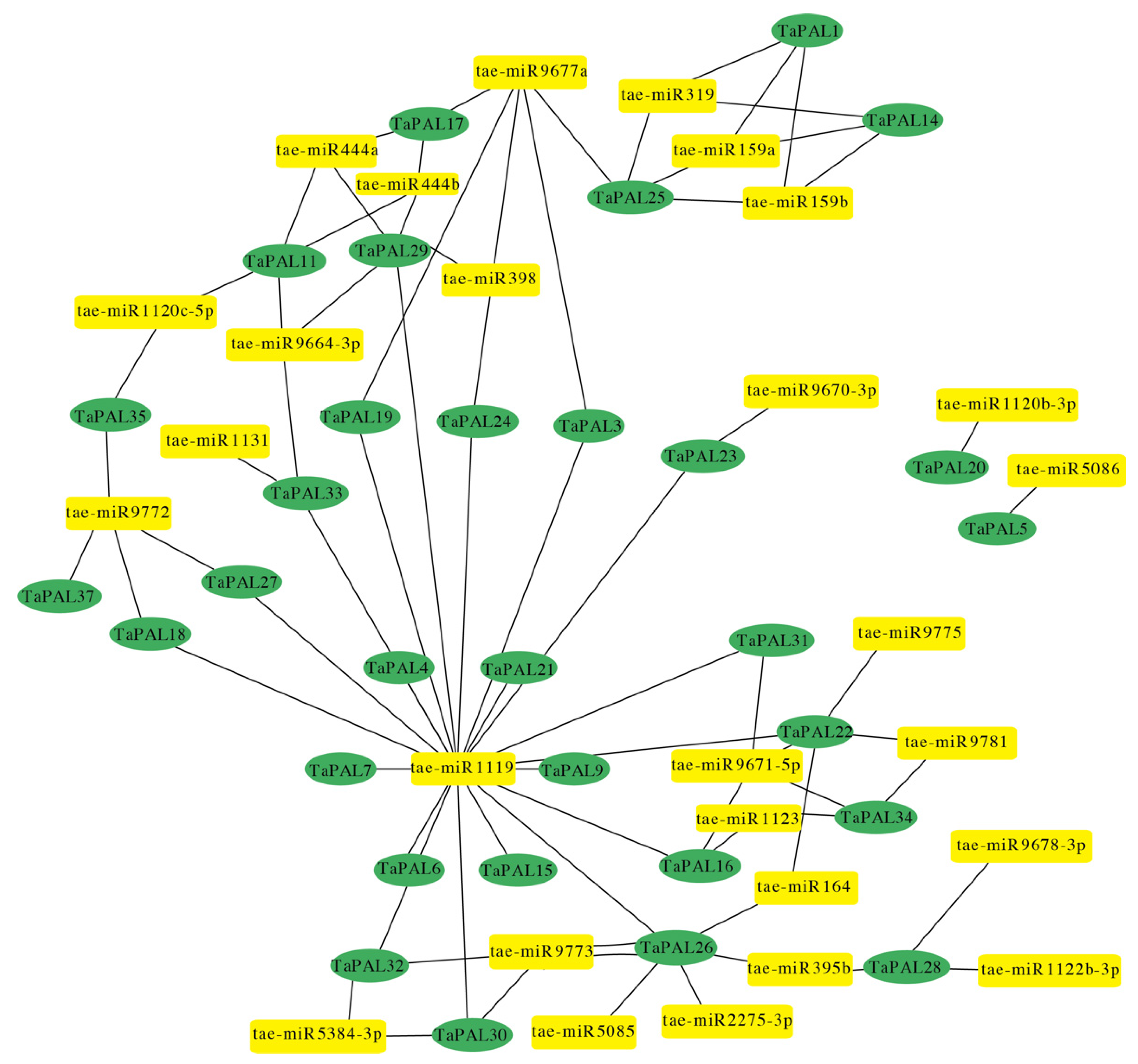 Agronomy 11 02511 g005