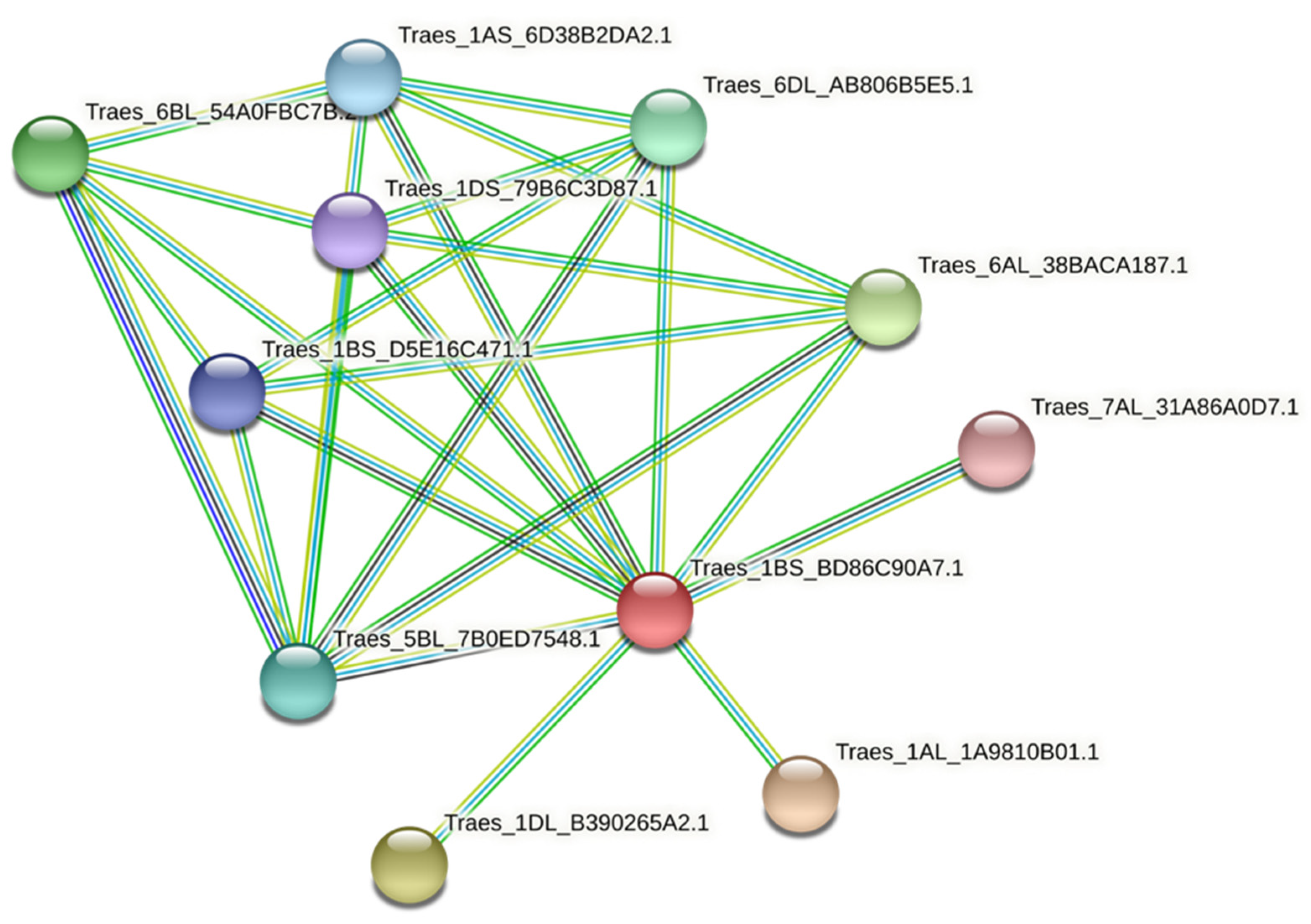 Agronomy 11 02511 g006