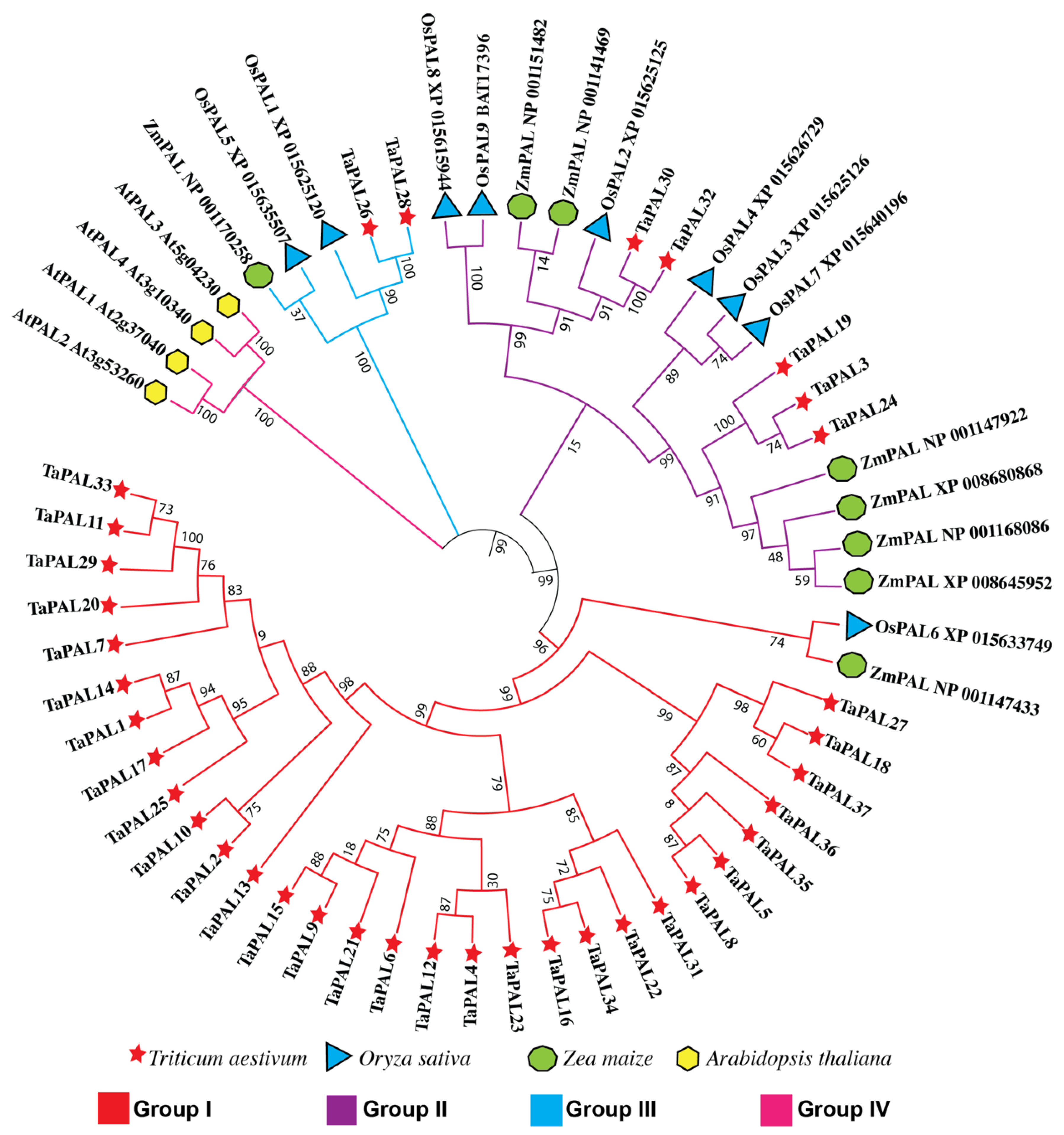 Agronomy 11 02511 g007