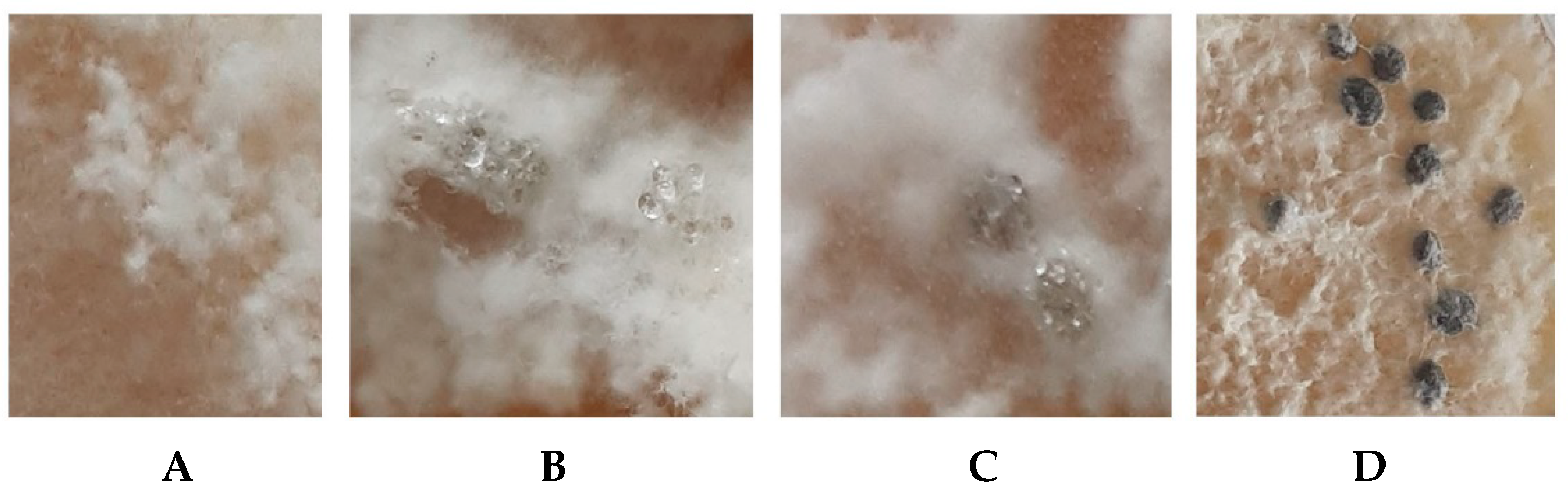Agronomy 11 02520 g002 Agronomy 11 02520 g002