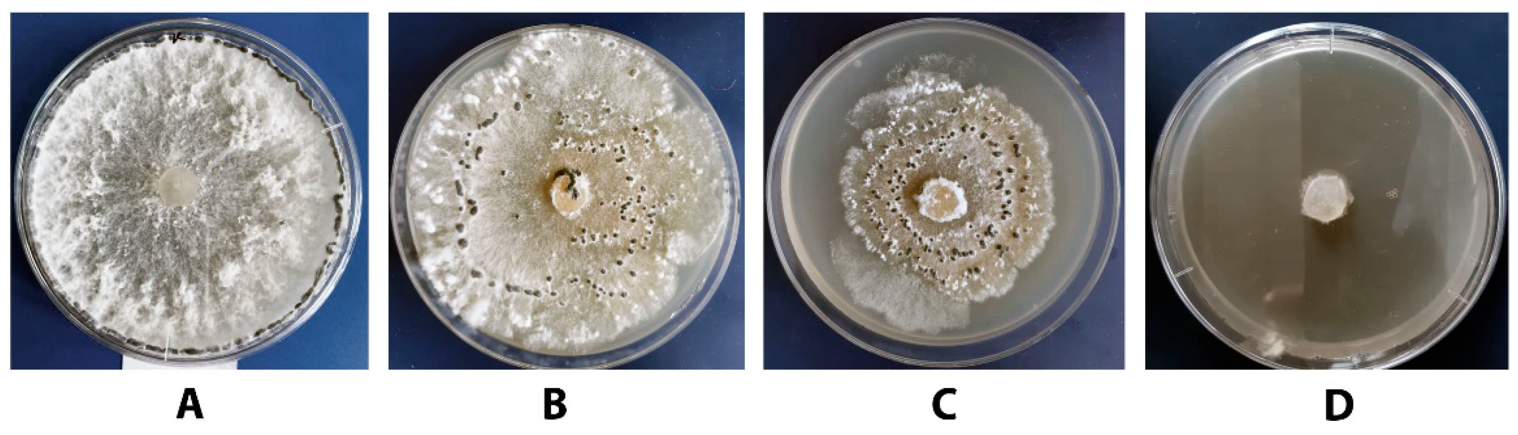 Agronomy 11 02520 g009 Agronomy 11 02520 g009
