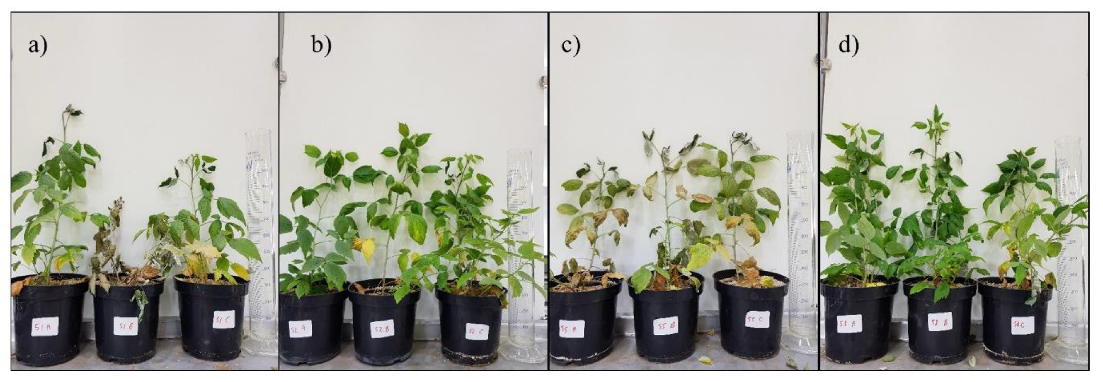 Agronomy 11 02521 g0a1 550