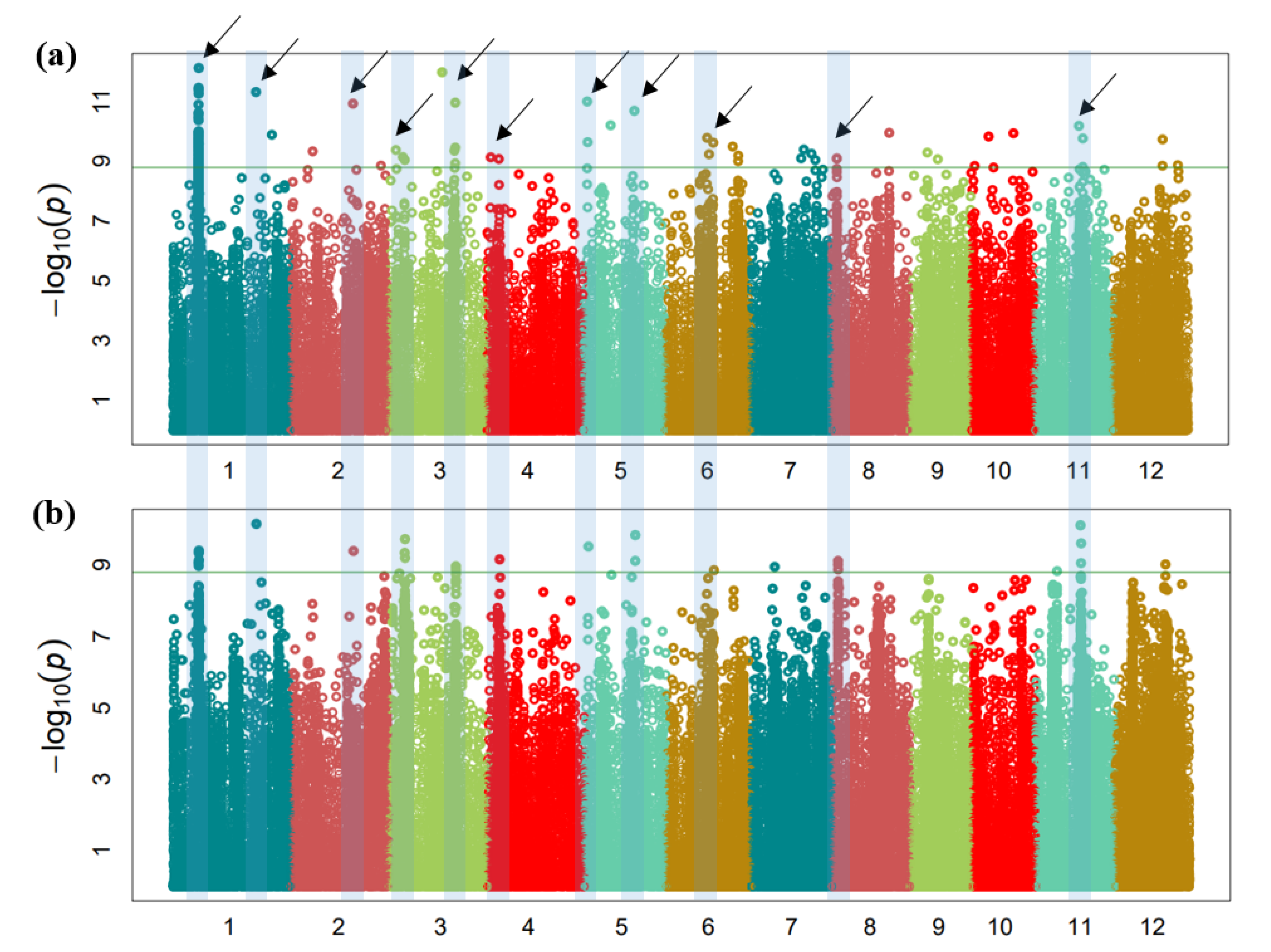 Agronomy 11 02527 g003 Agronomy 11 02527 g003