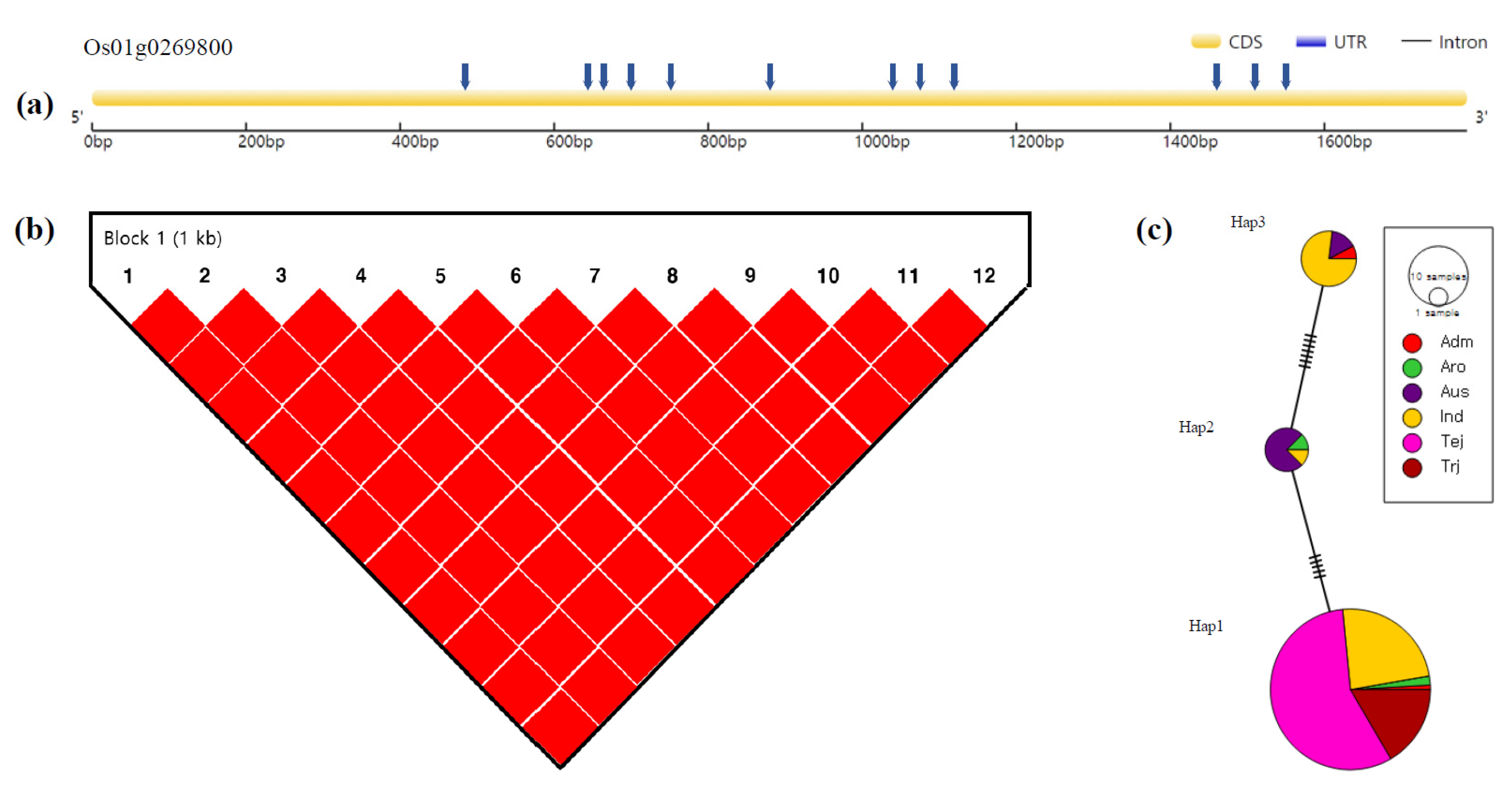Agronomy 11 02527 g004 Agronomy 11 02527 g004