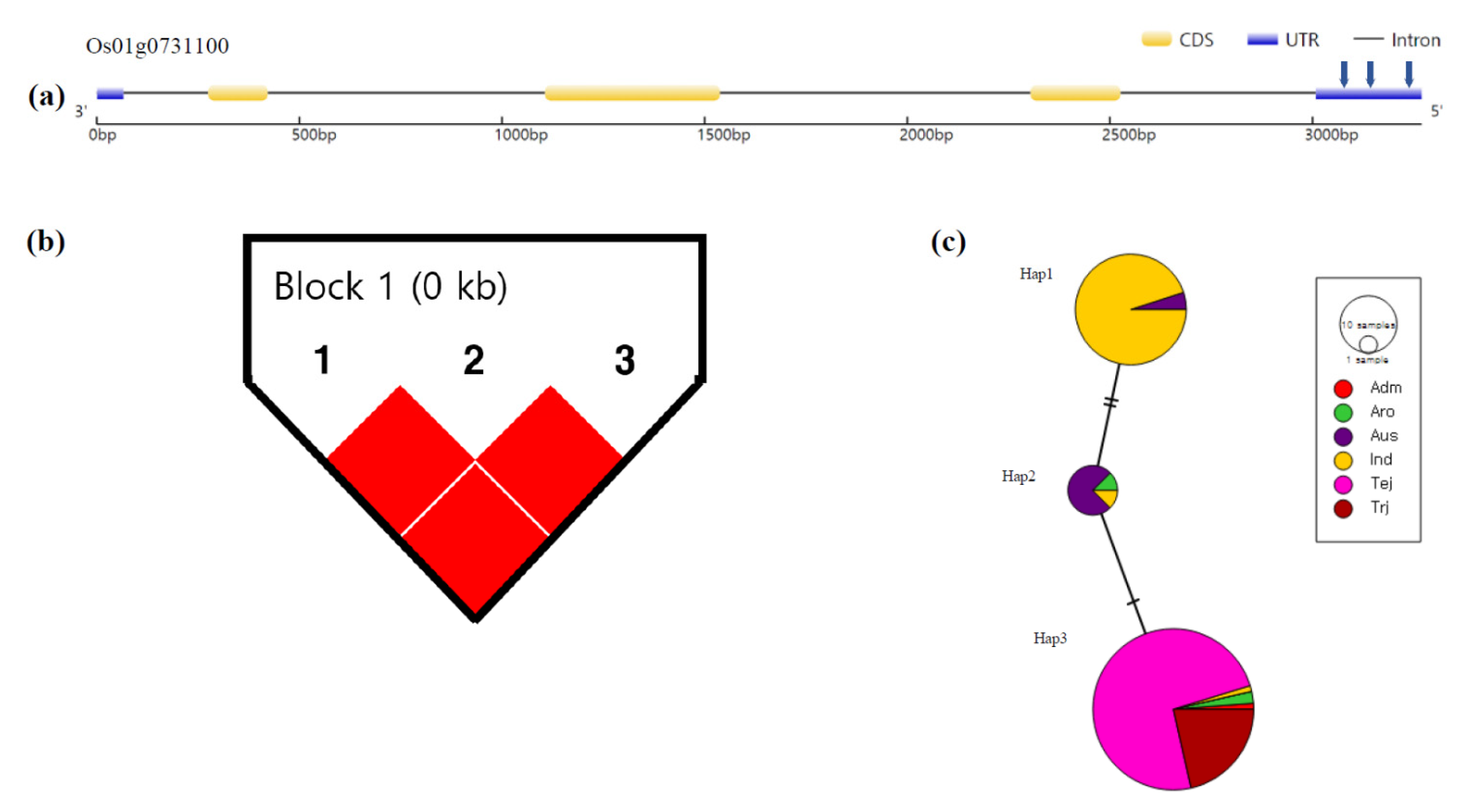 Agronomy 11 02527 g005 Agronomy 11 02527 g005