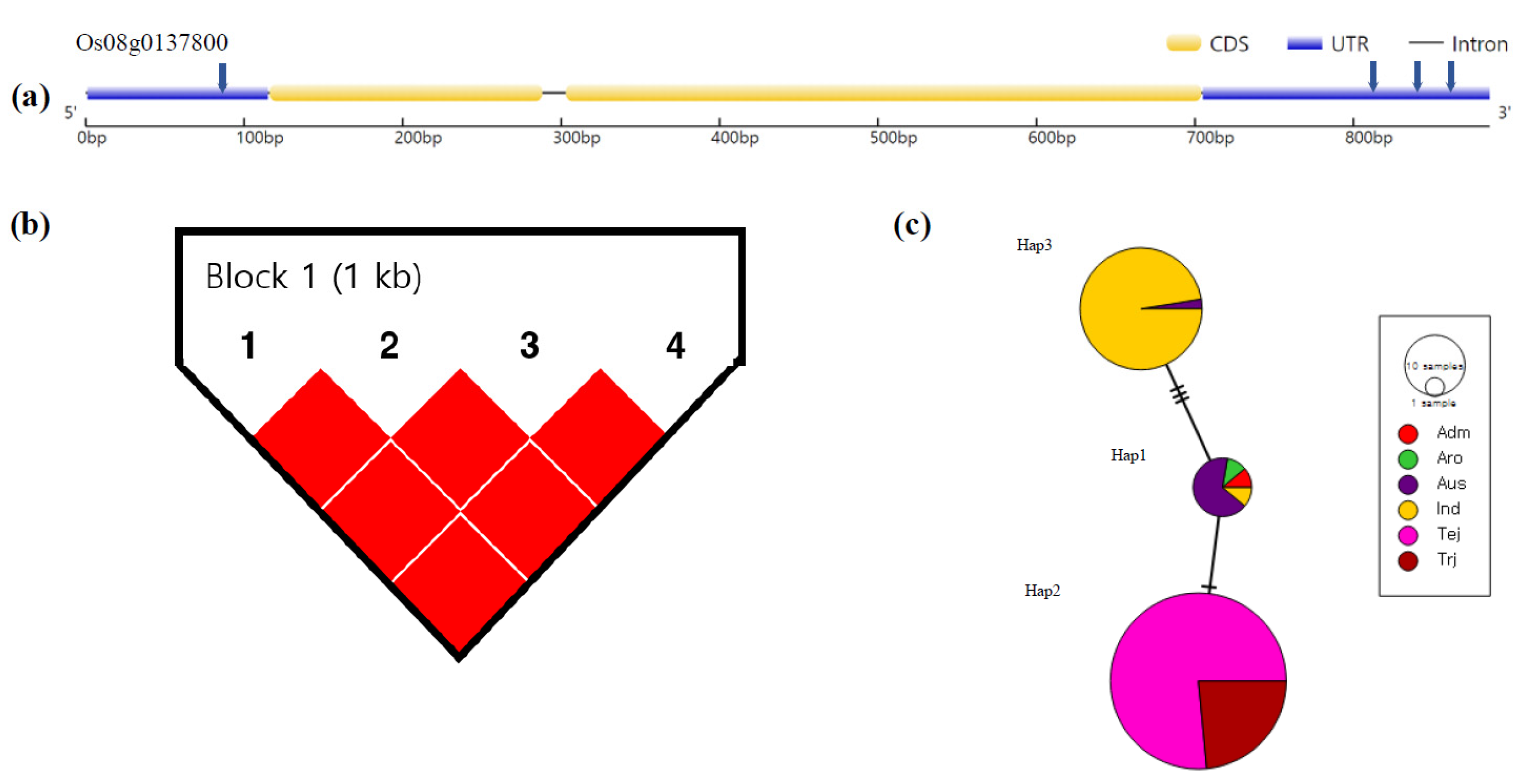 Agronomy 11 02527 g007 Agronomy 11 02527 g007