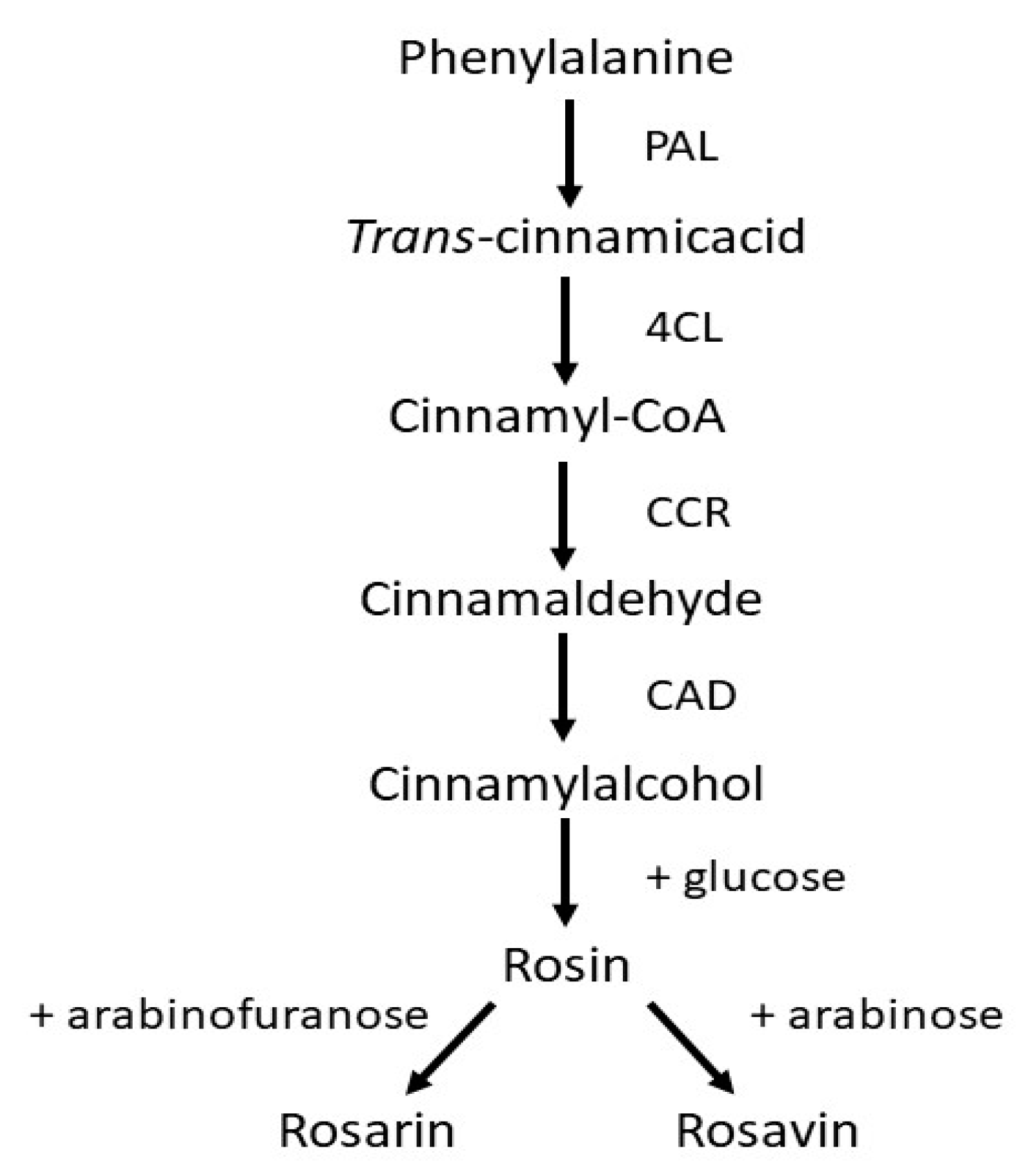 Agronomy 11 02531 g004 550