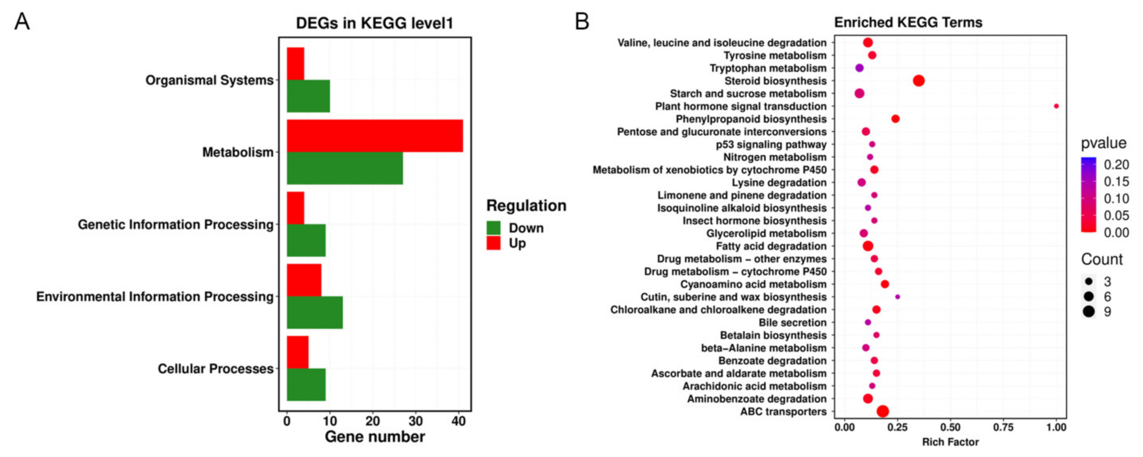 Agronomy 11 02532 g006 550